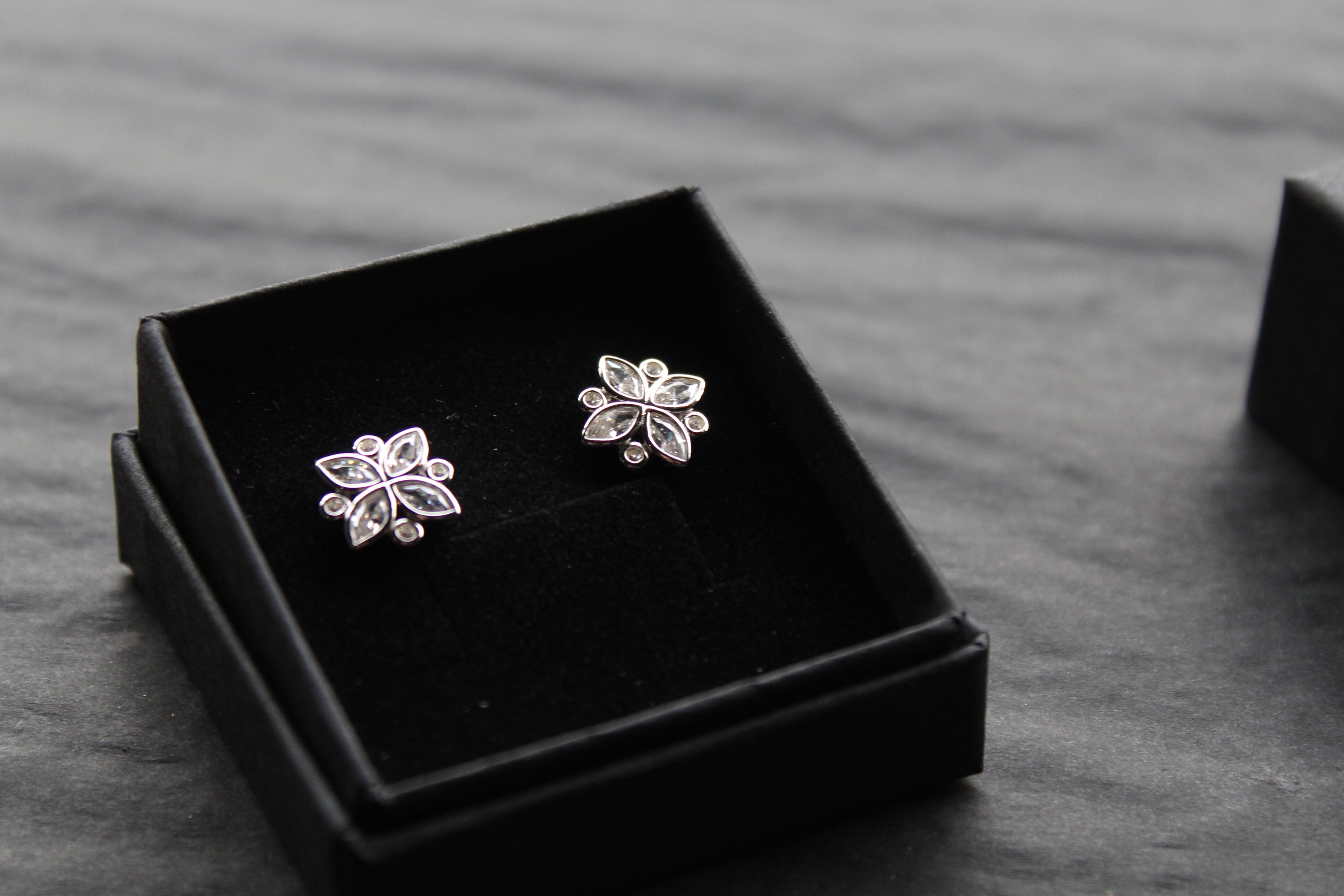Silver CZ Shine Bright Earrings