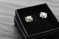 Silver CZ Shine Bright Earrings