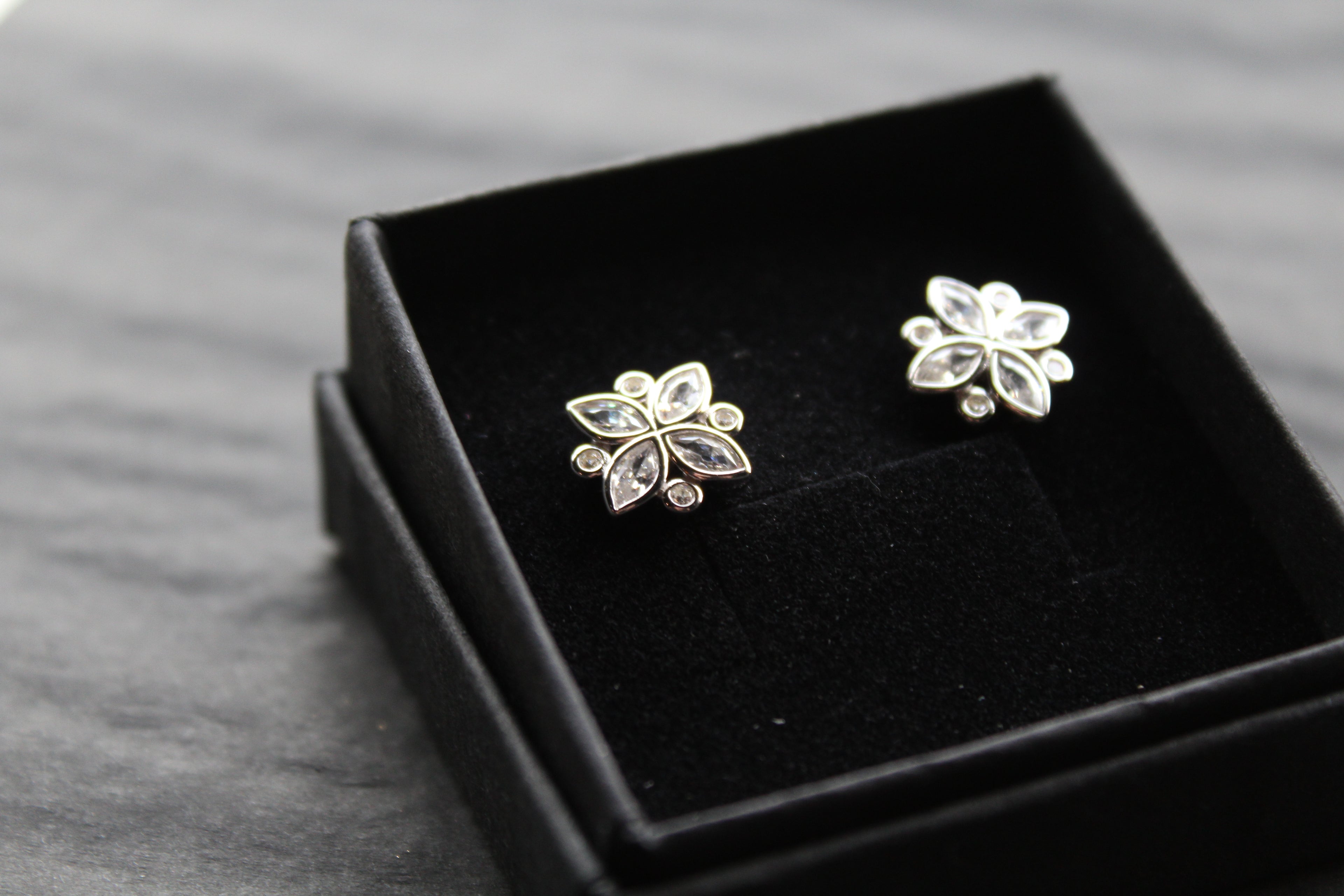 Silver CZ Shine Bright Earrings