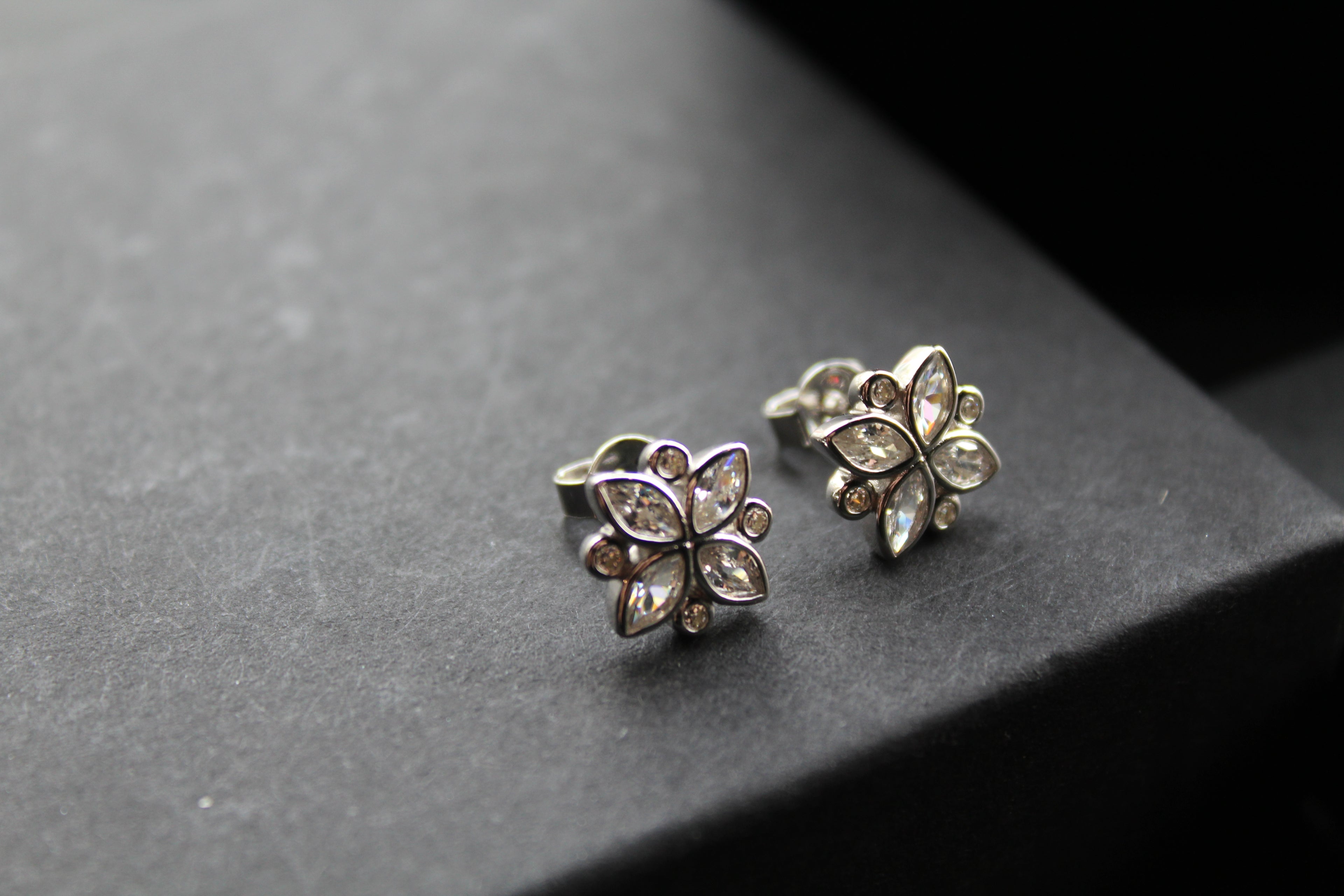Silver CZ Shine Bright Earrings