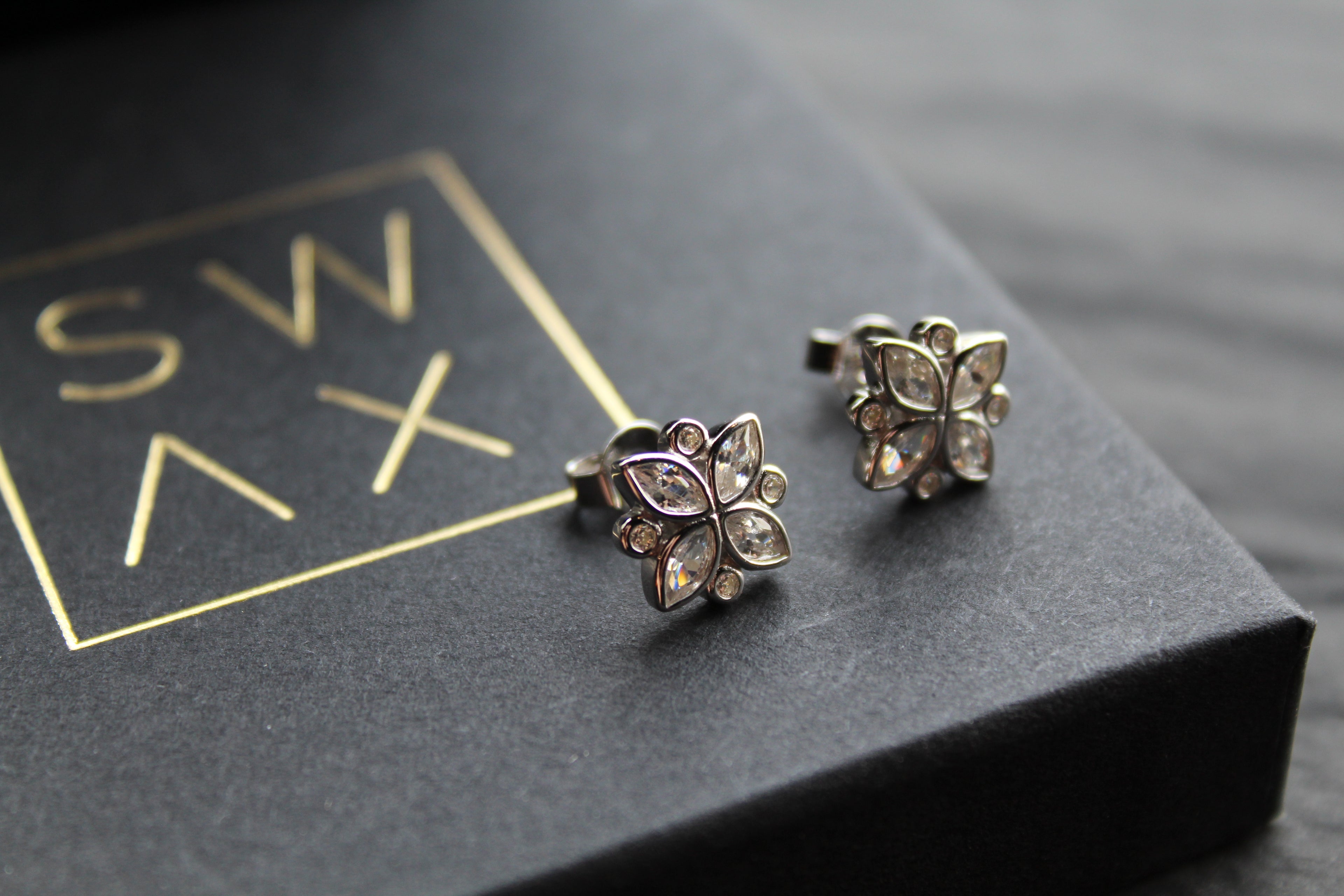 Silver CZ Shine Bright Earrings