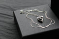 Silver Heart Meteorite Necklace