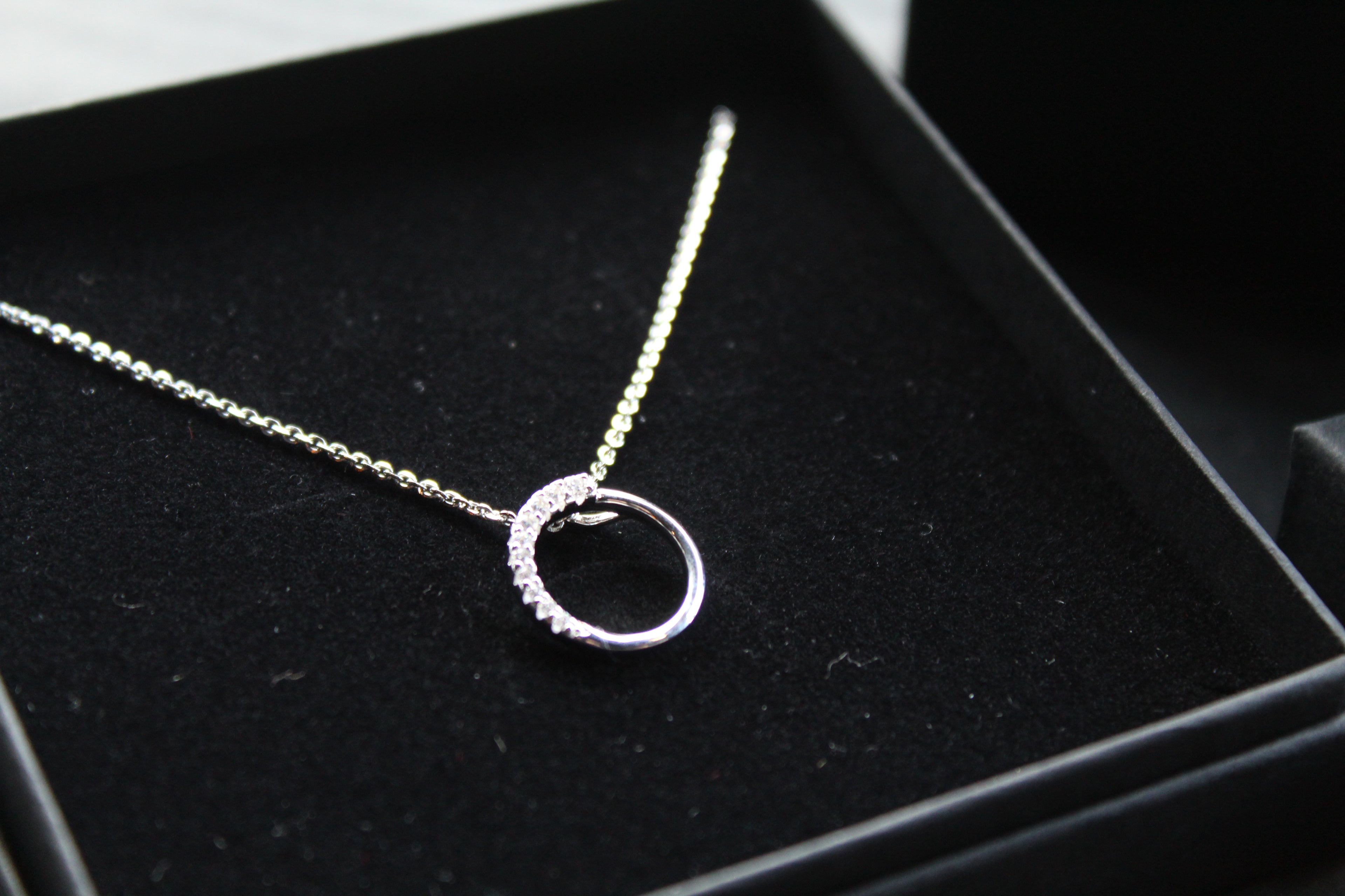 Silver Sparkle CZ Circle Pendant