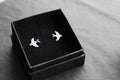 Silver Swift CZ Studs