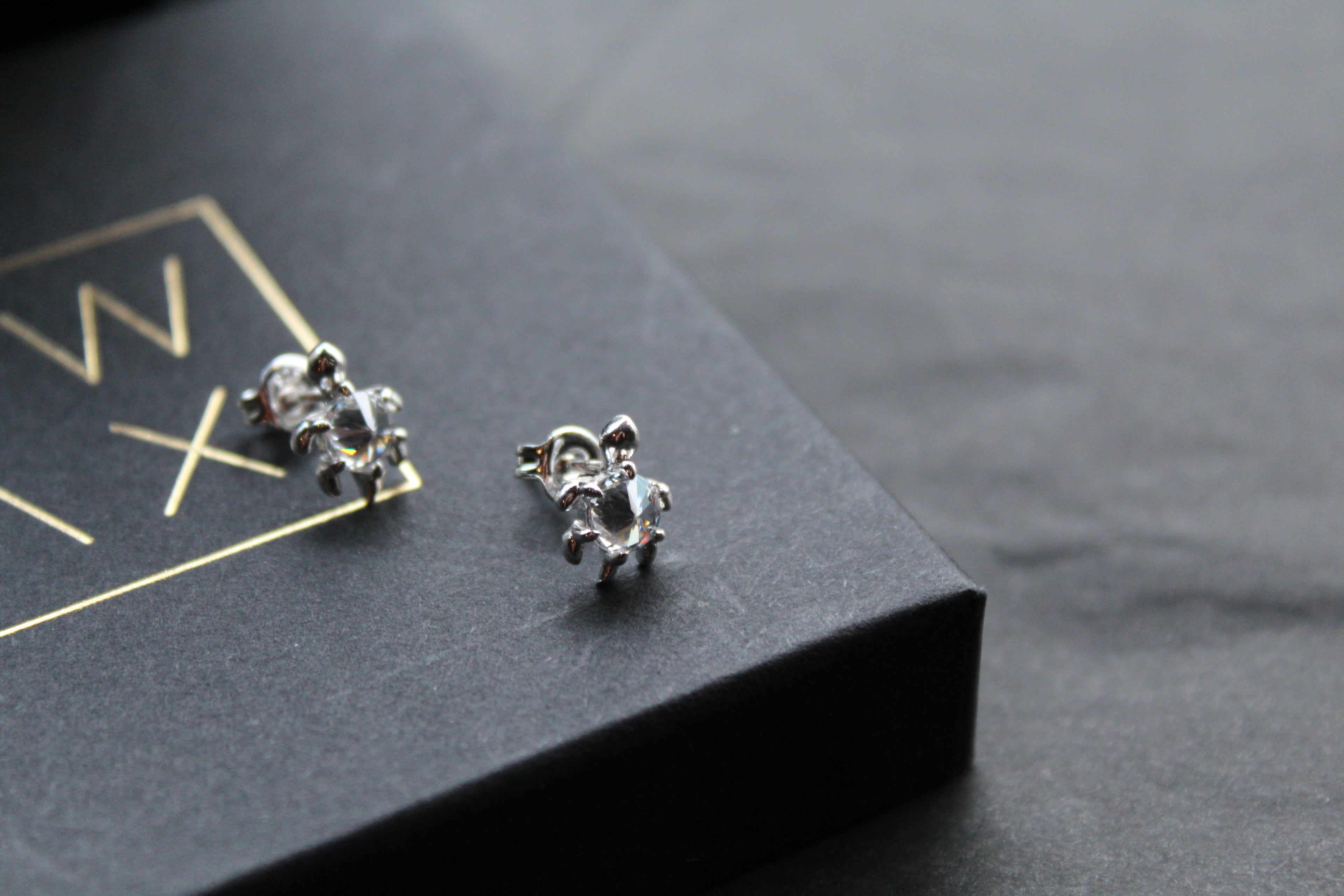 Silver Turtle Studs