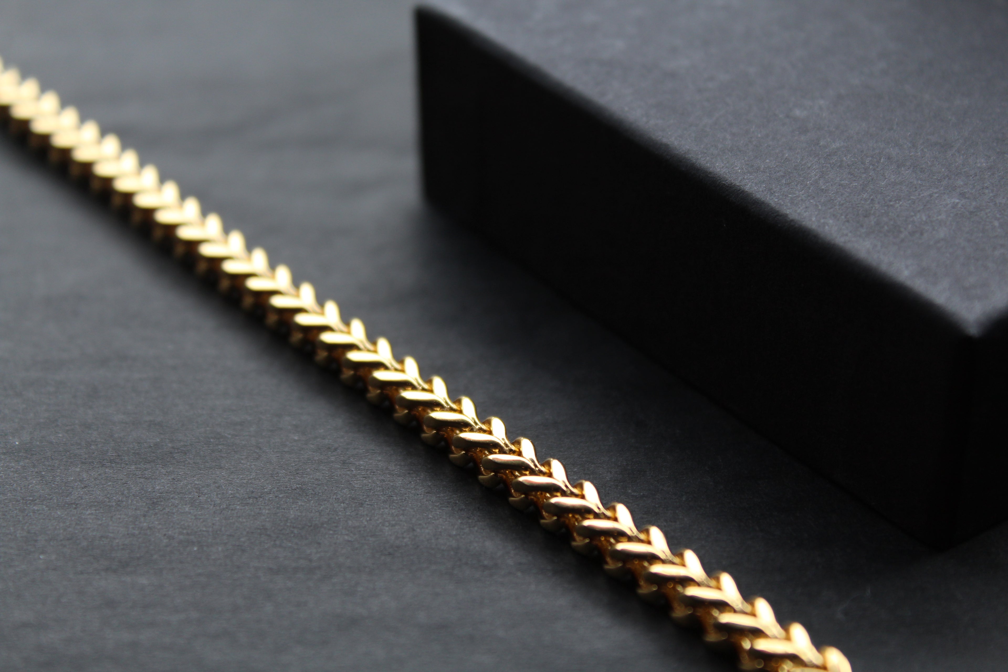 Square Chain Bracelet with Polished Gold IP