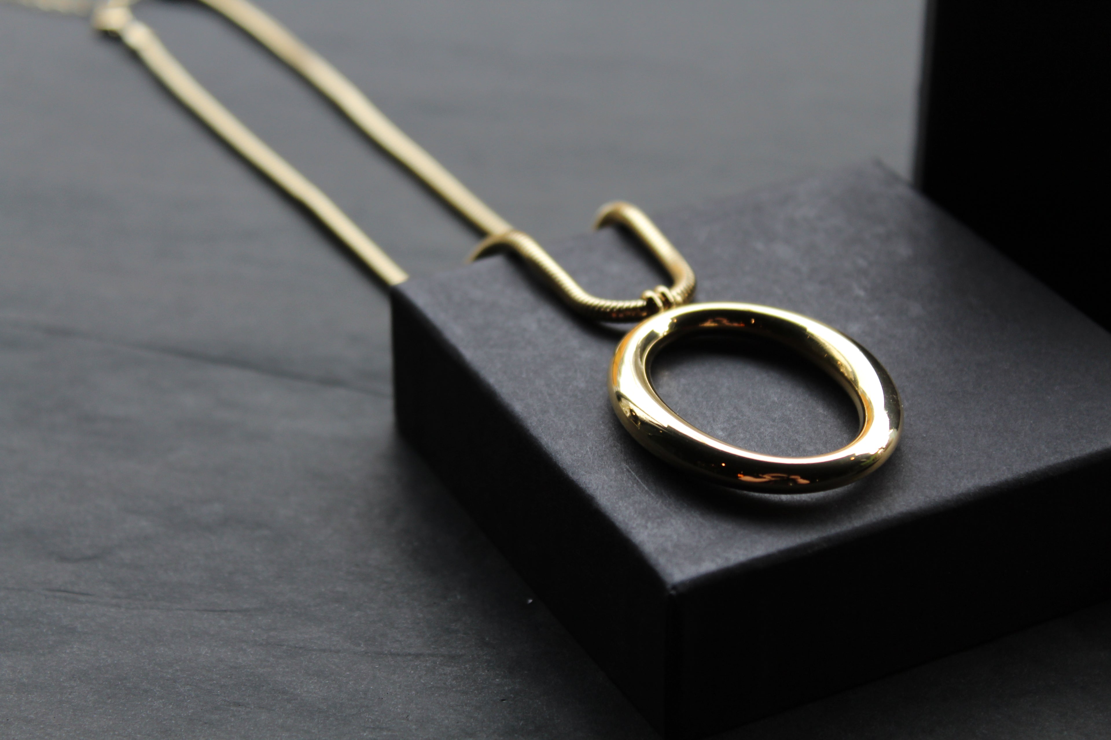 Stainless Steel Hoop & Snake Chain Necklace