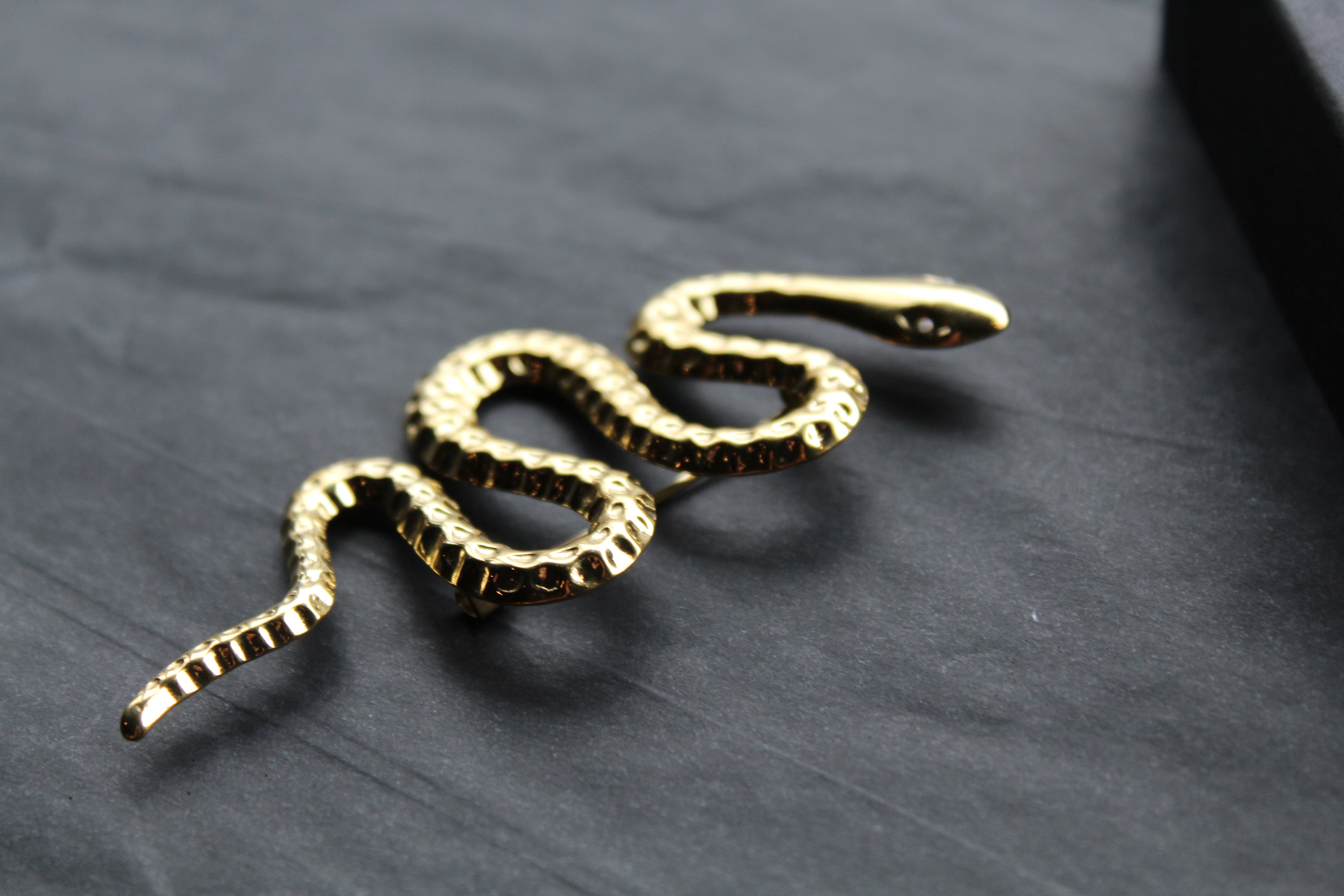 Stainless Steel Serpent Brooch