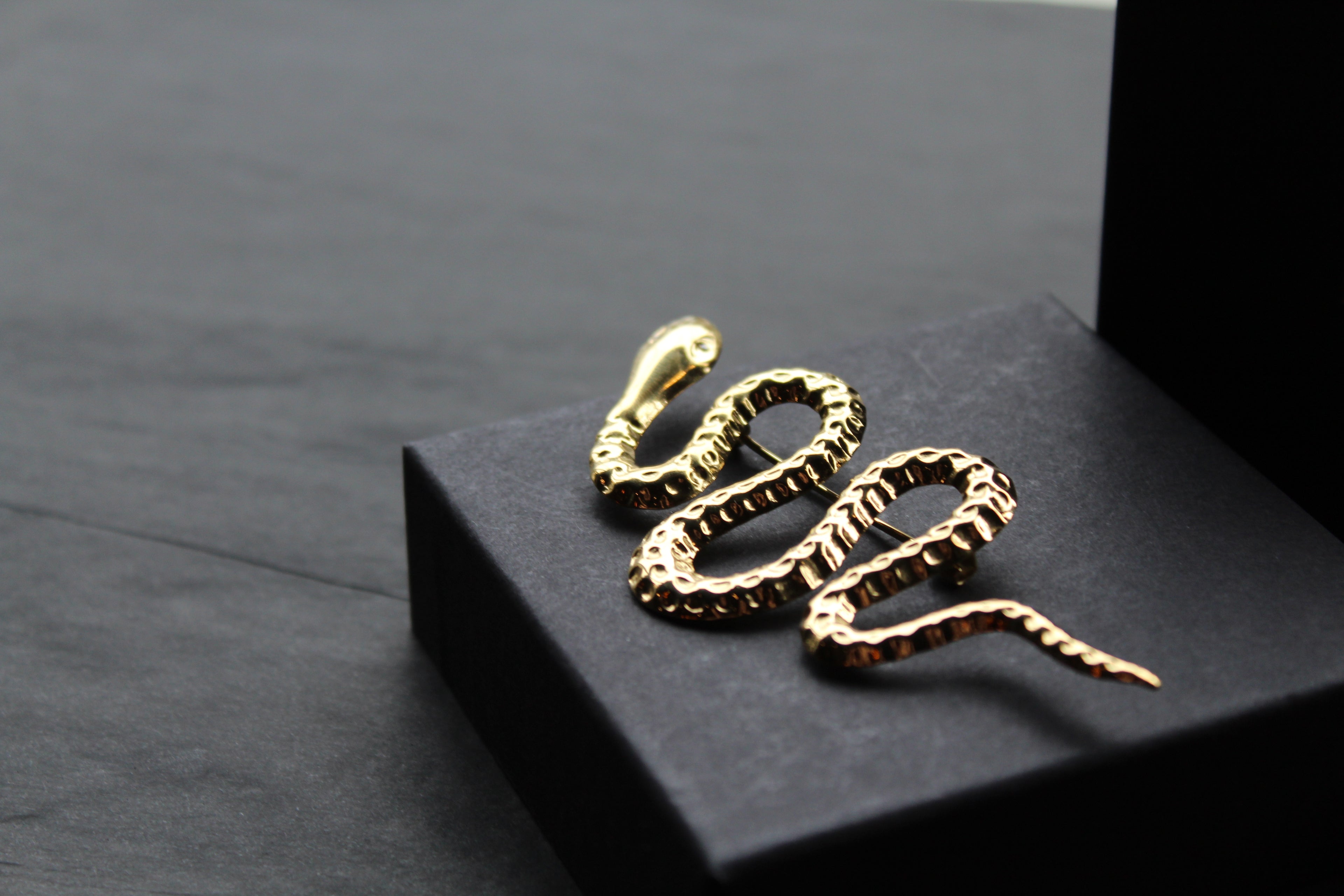 Stainless Steel Serpent Brooch