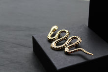 Load image into Gallery viewer, Stainless Steel Serpent Brooch
