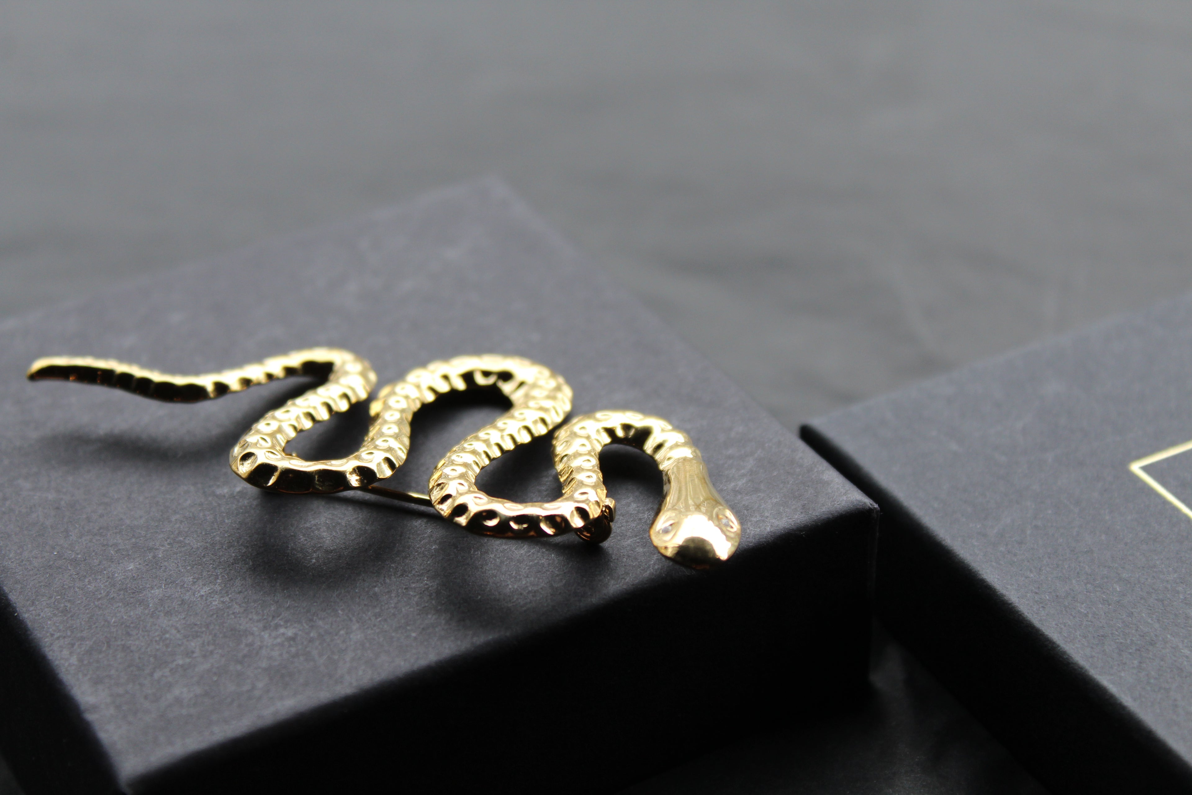 Stainless Steel Serpent Brooch