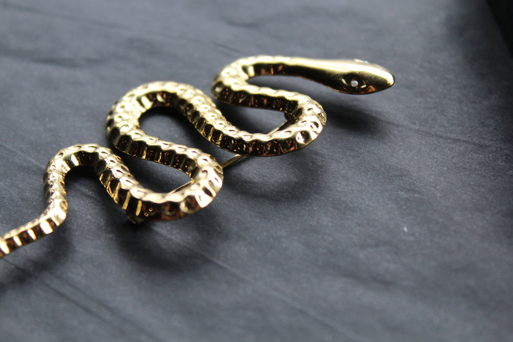 Stainless Steel Serpent Brooch
