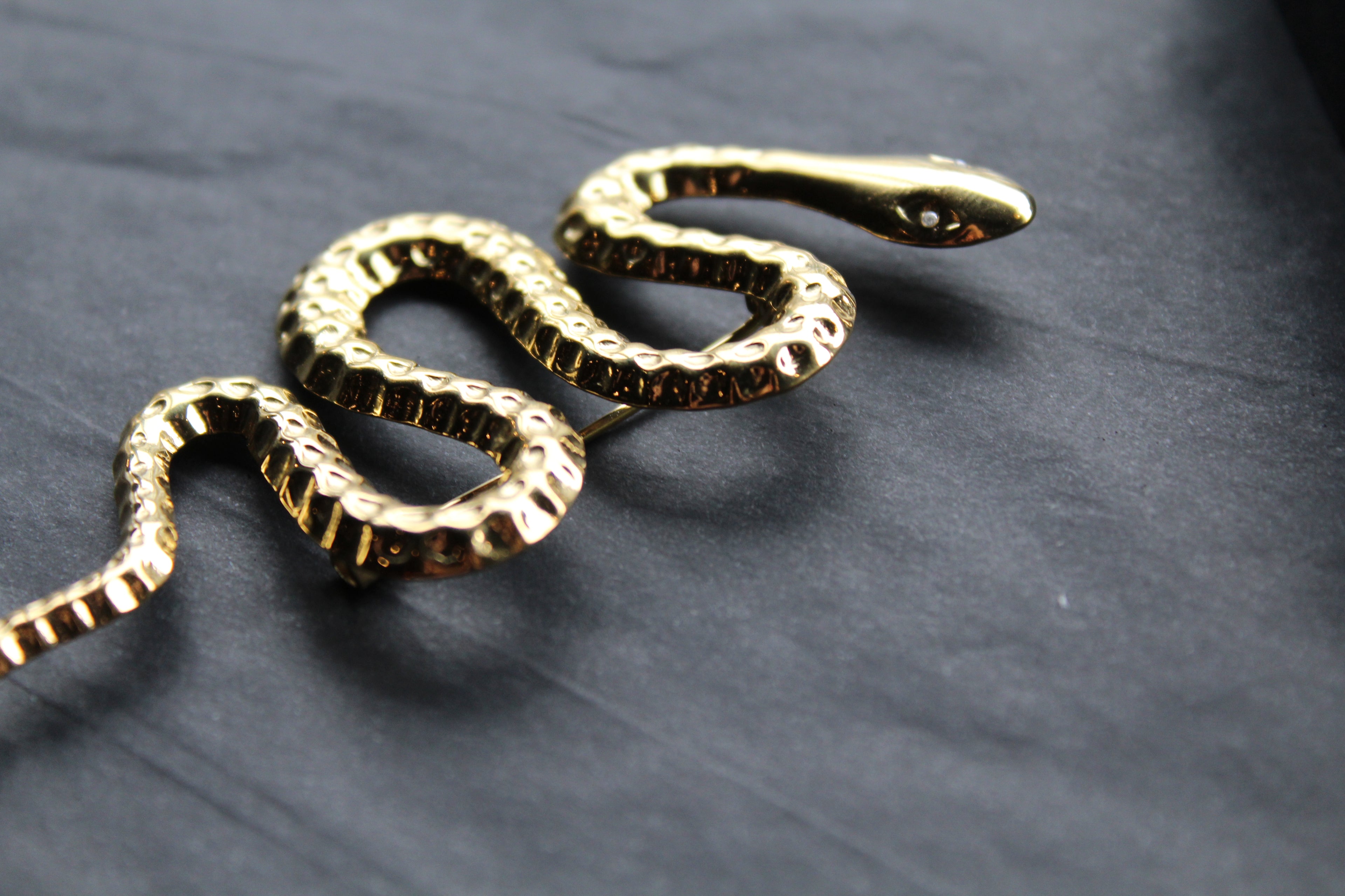 Stainless Steel Serpent Brooch