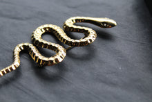 Load image into Gallery viewer, Stainless Steel Serpent Brooch
