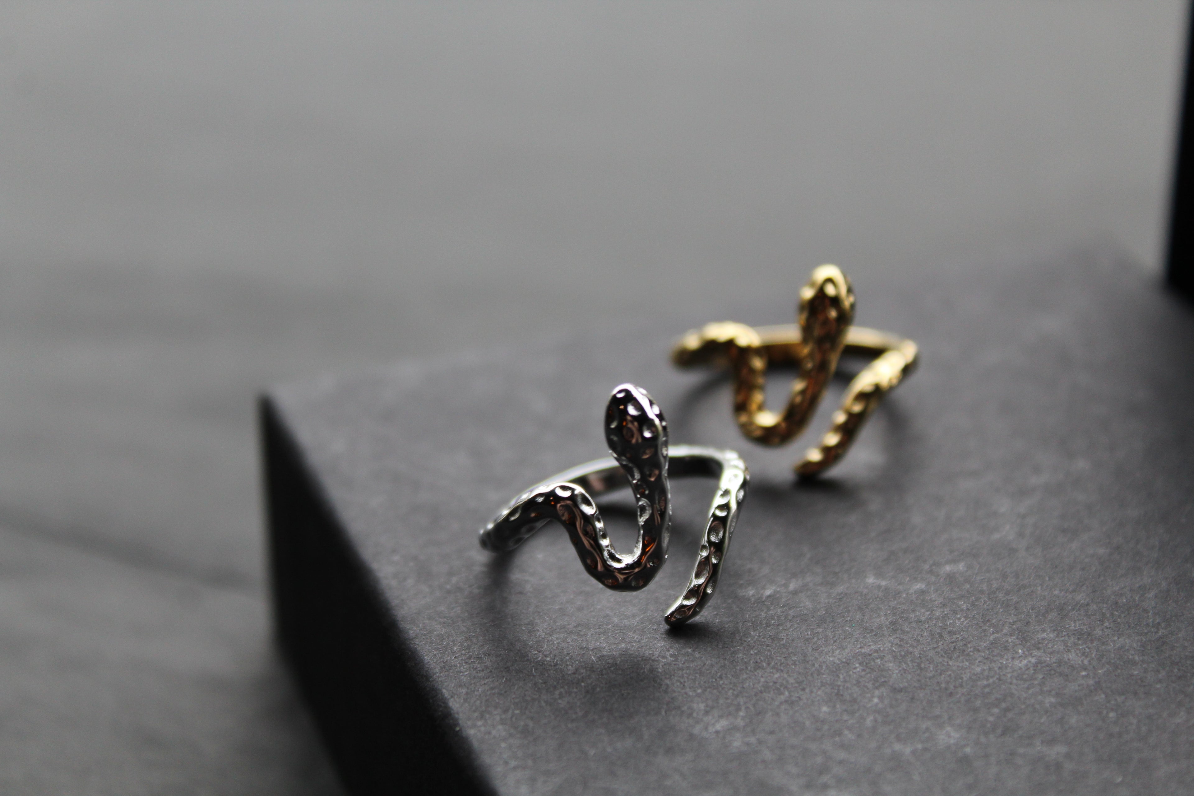 Stainless Steel Serpent Ring