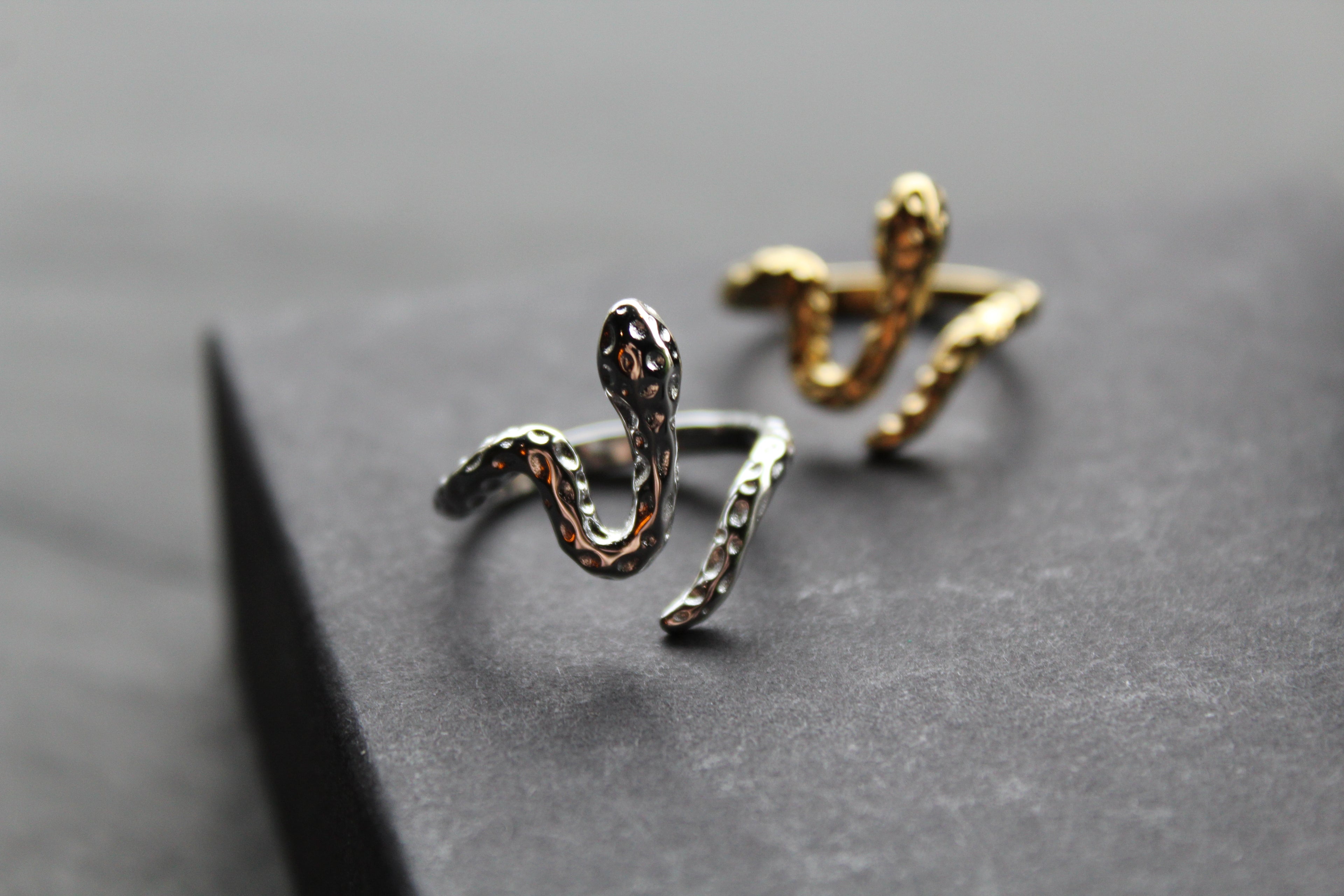 Stainless Steel Serpent Ring