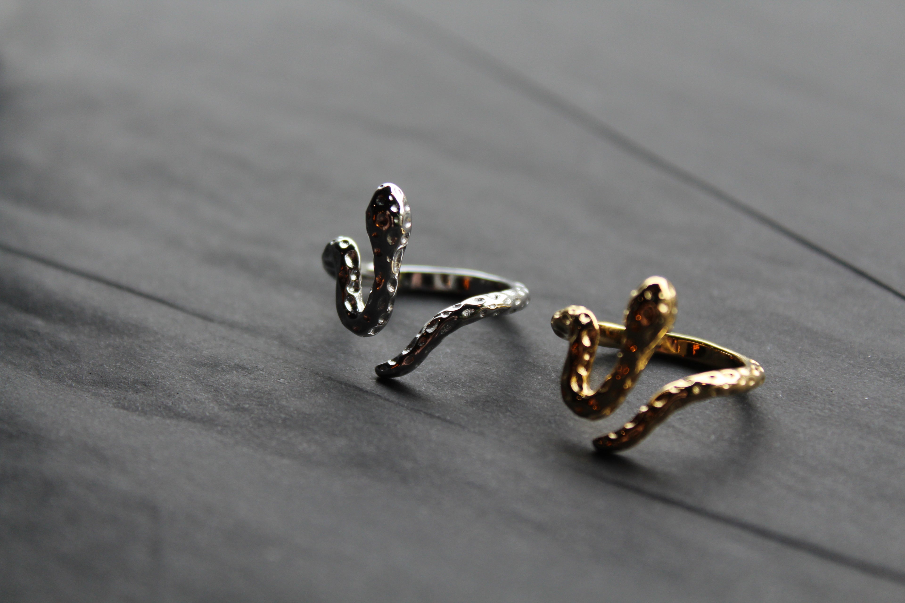 Stainless Steel Serpent Ring