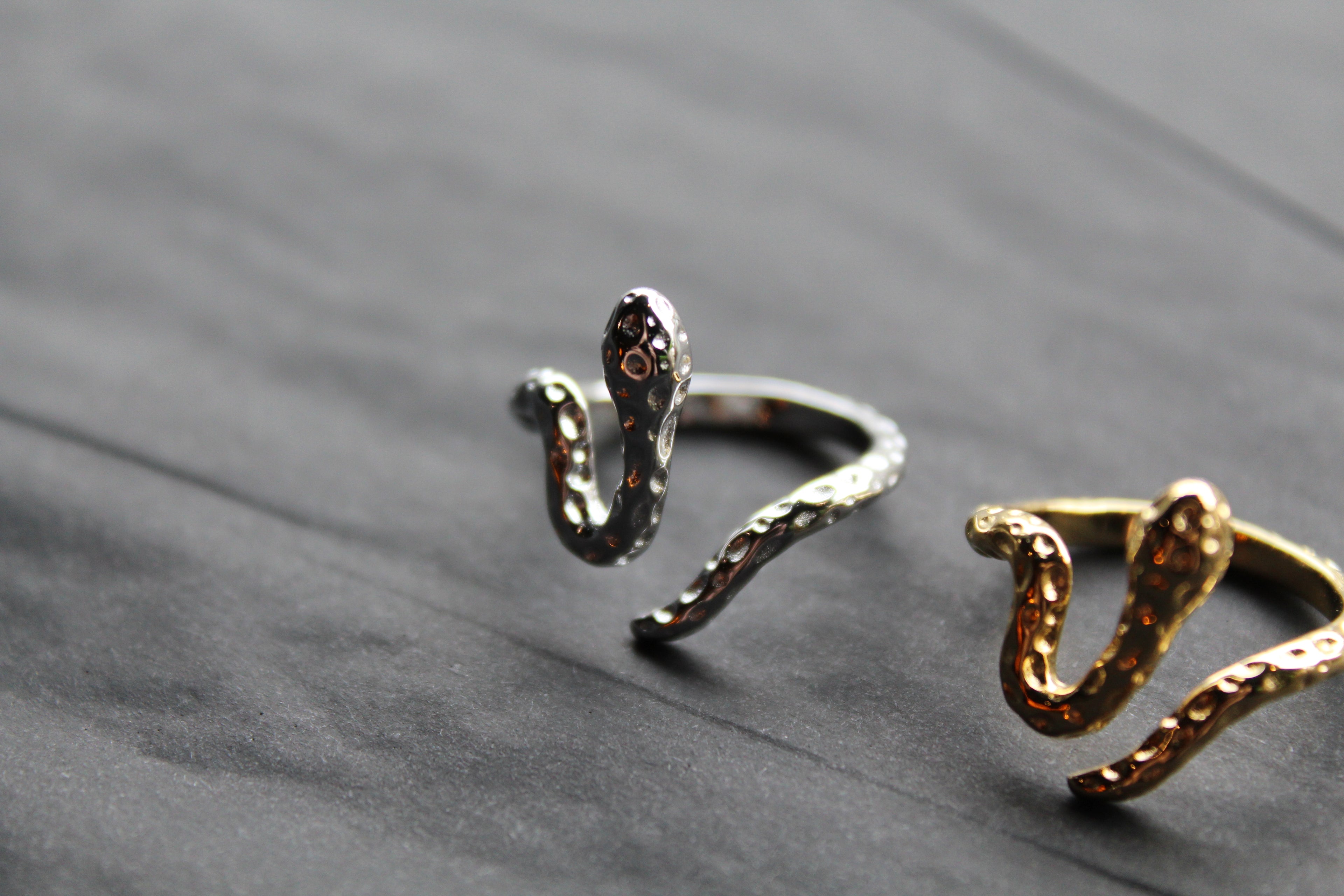 Stainless Steel Serpent Ring