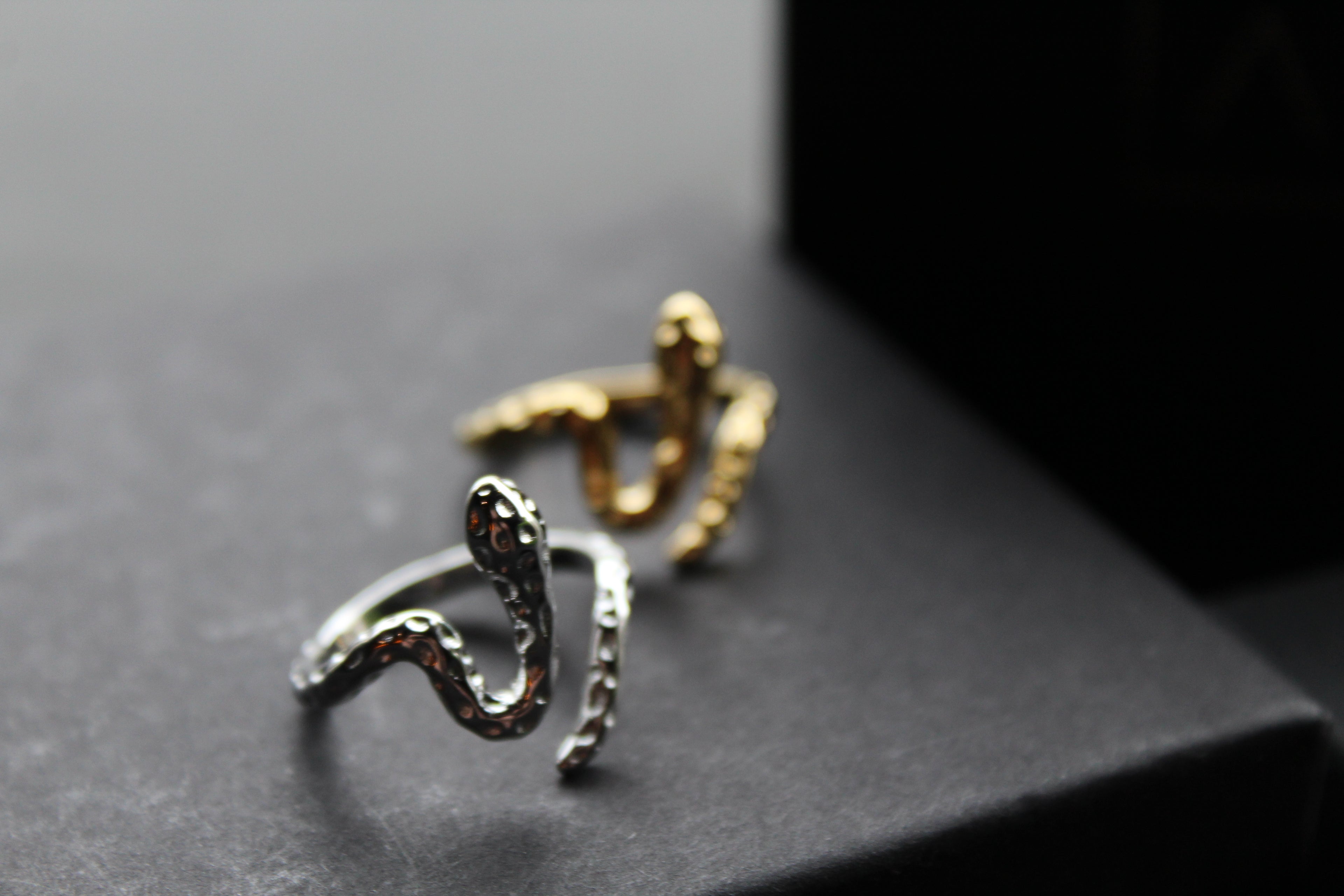 Stainless Steel Serpent Ring