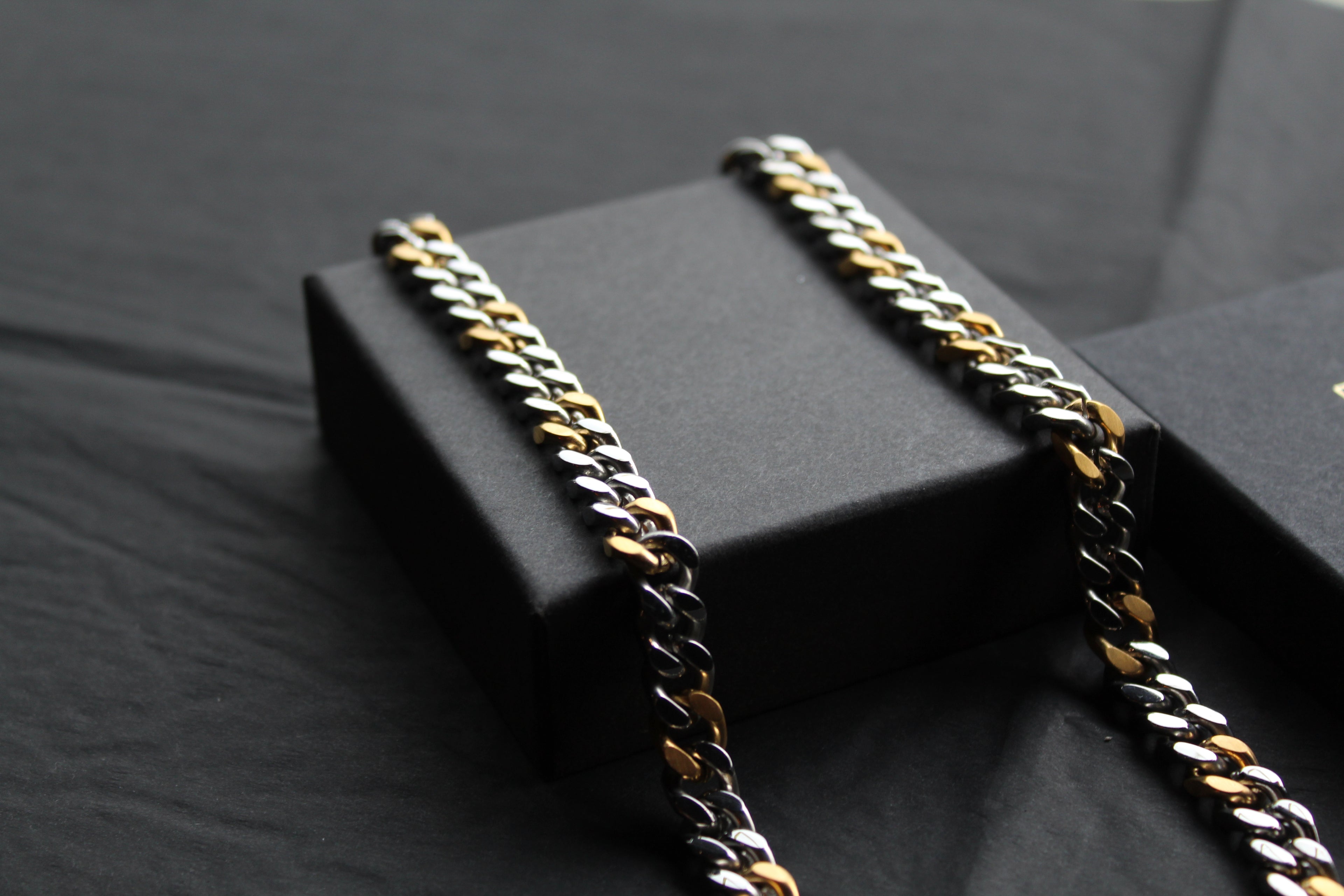 Stainless Steel and Gold IP Polished Necklace