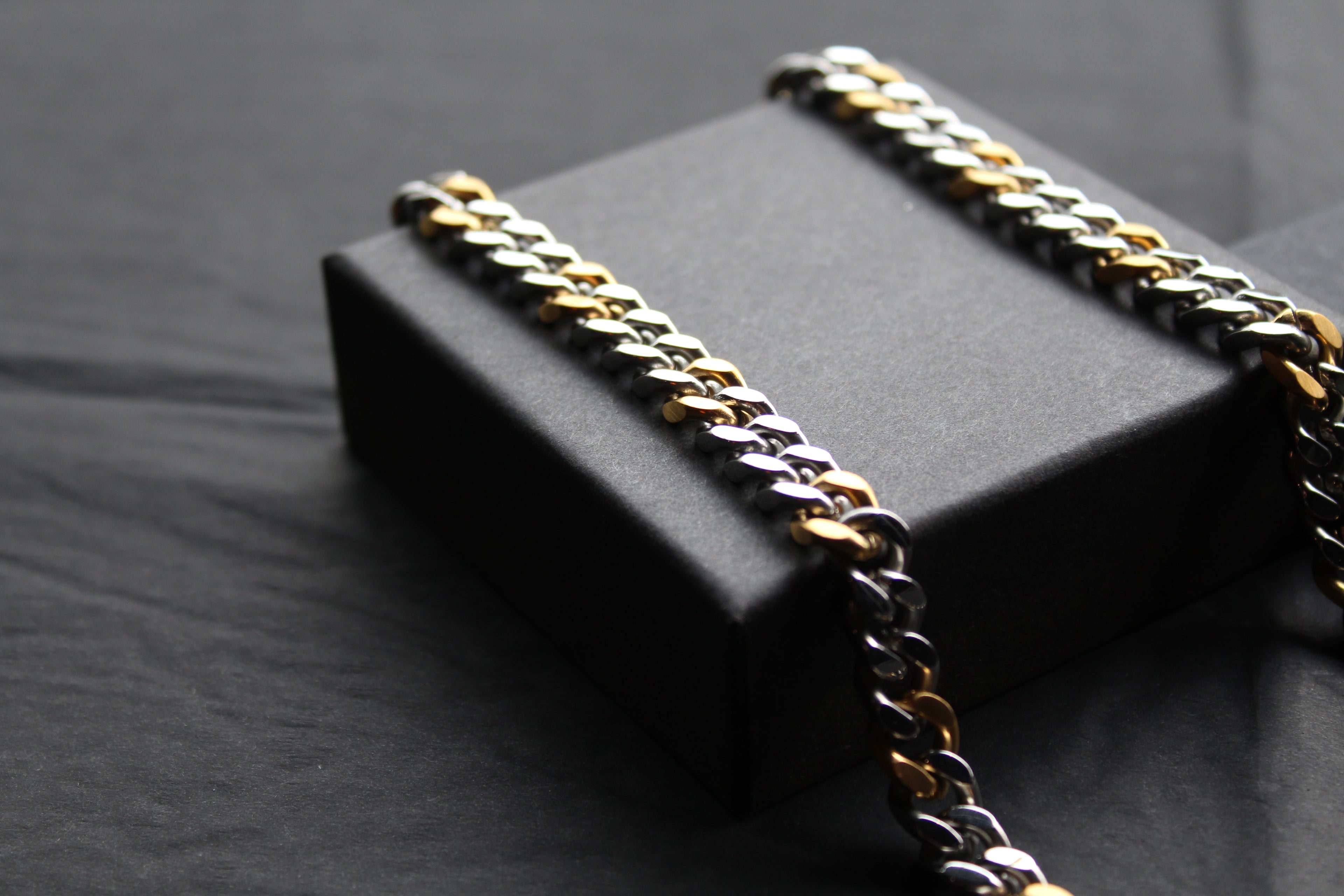 Stainless Steel and Gold IP Polished Necklace