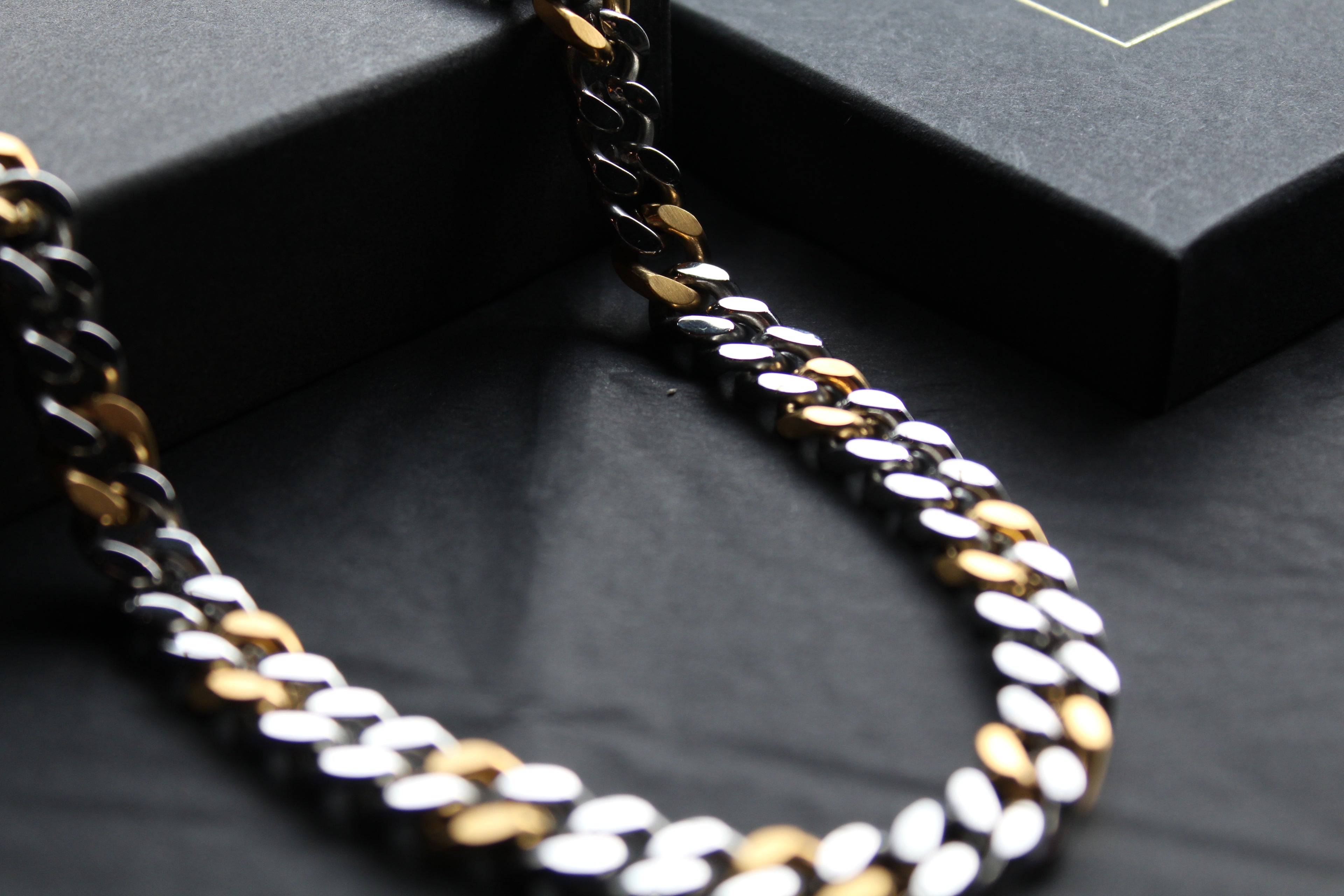 Stainless Steel and Gold IP Polished Necklace