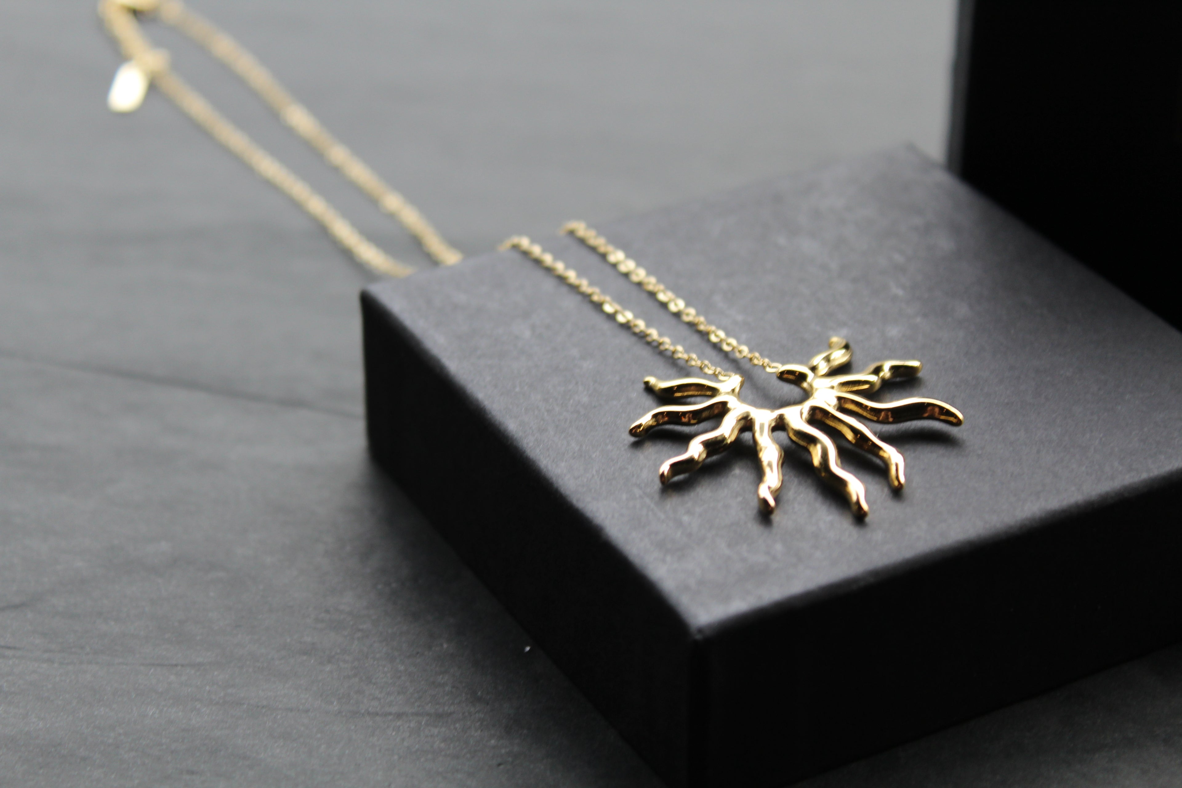 Sunbeam Necklace in Stainless Steel
