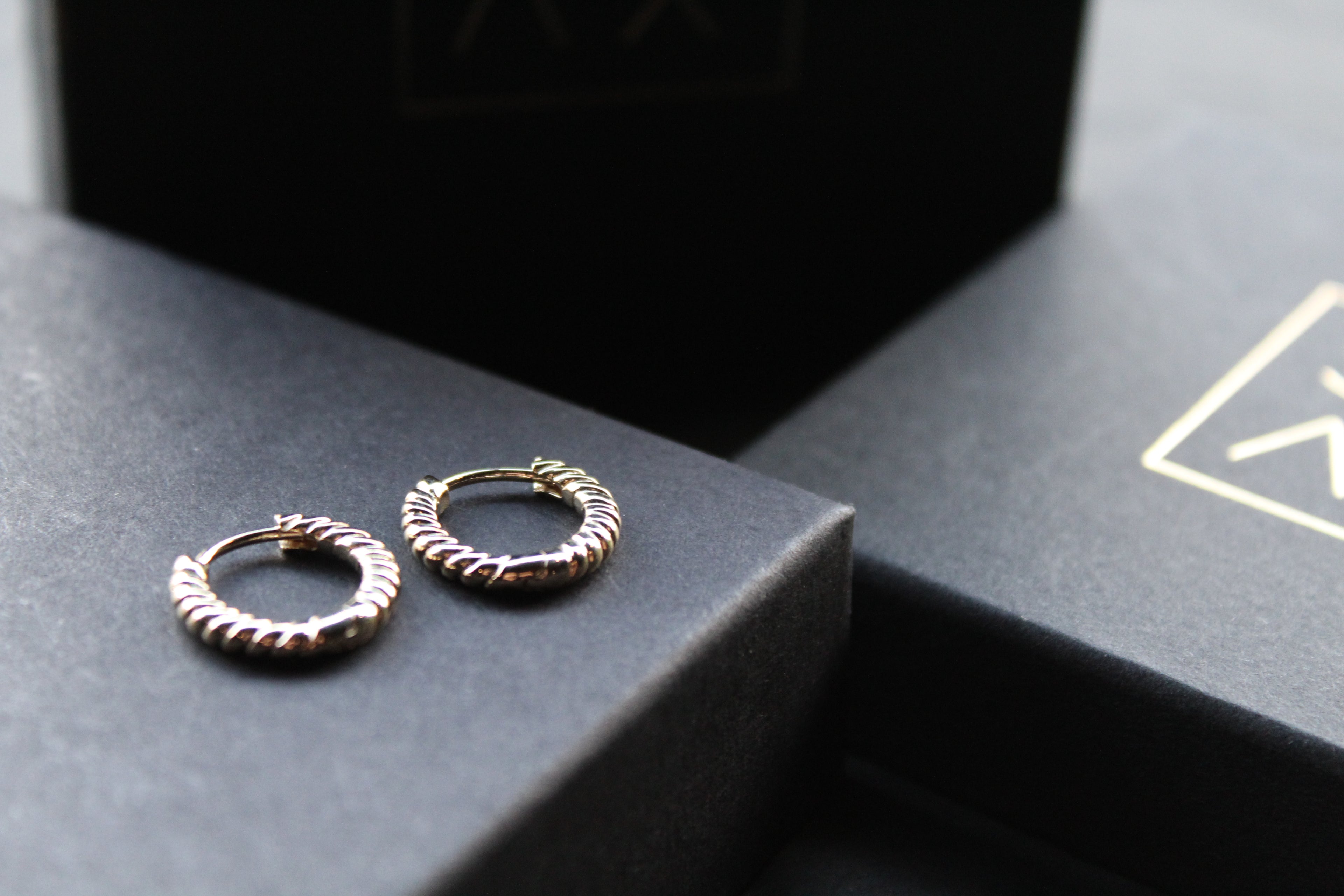 Twisted Circle Hoops