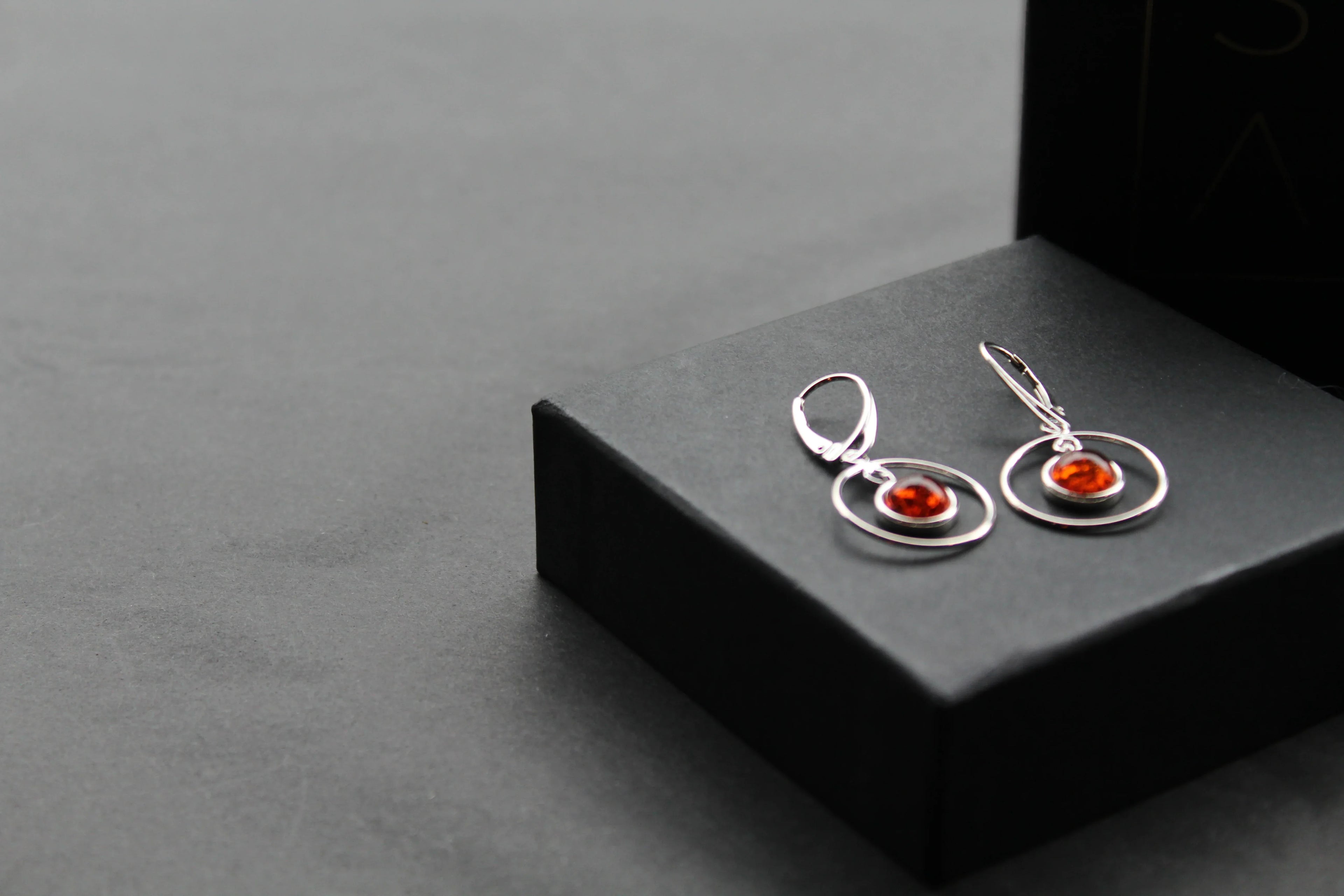 Amber Circle Drop Earrings - Swax Jewellery Barmouth
