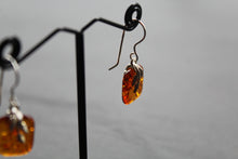 Load image into Gallery viewer, Amber Drop Earrings
