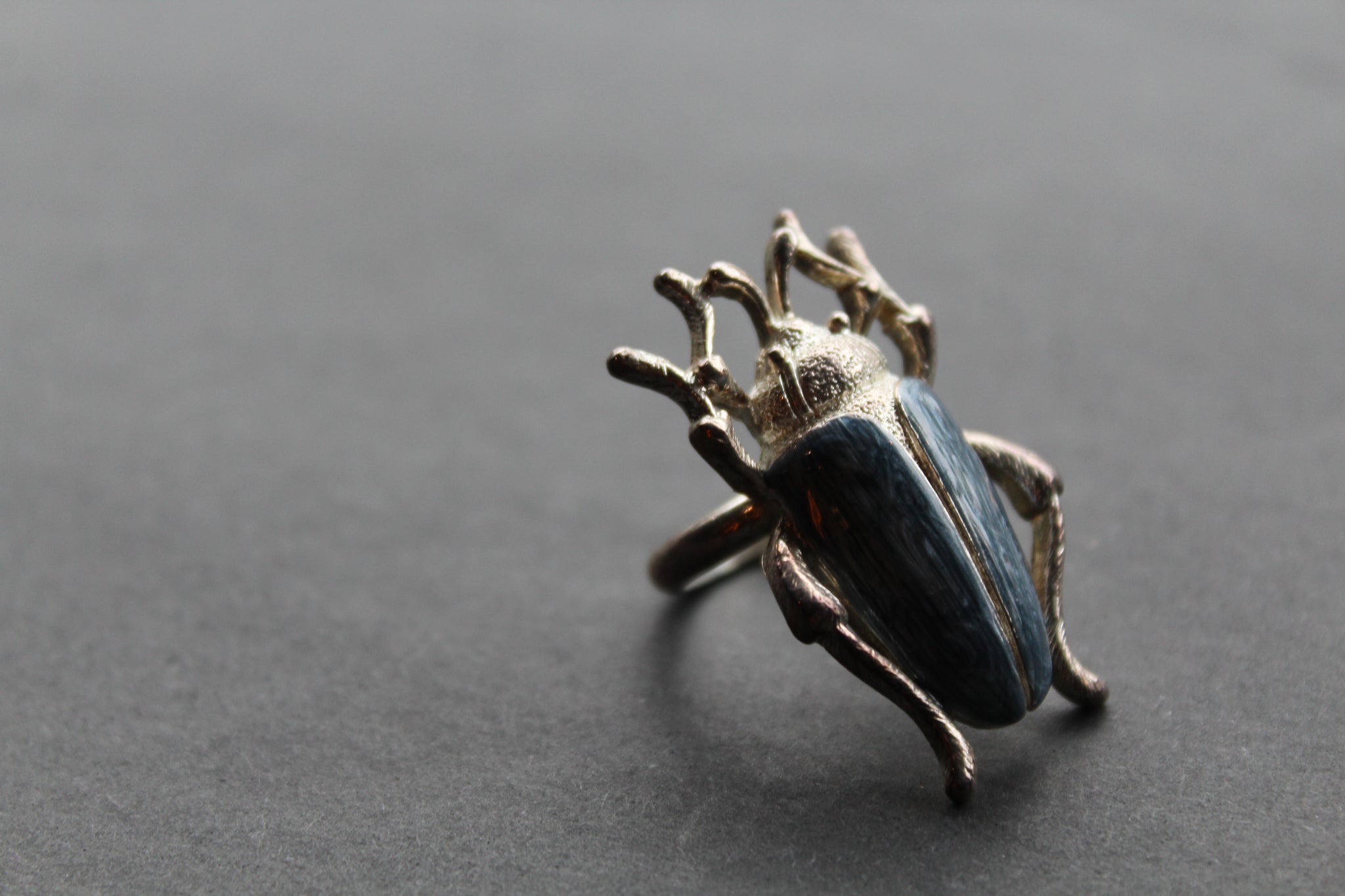 Stag beetle ring shop