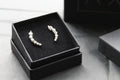 Clear CZ Curvy Climber Earrings