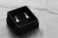 Cubic Zirconia & Opalite Earrings