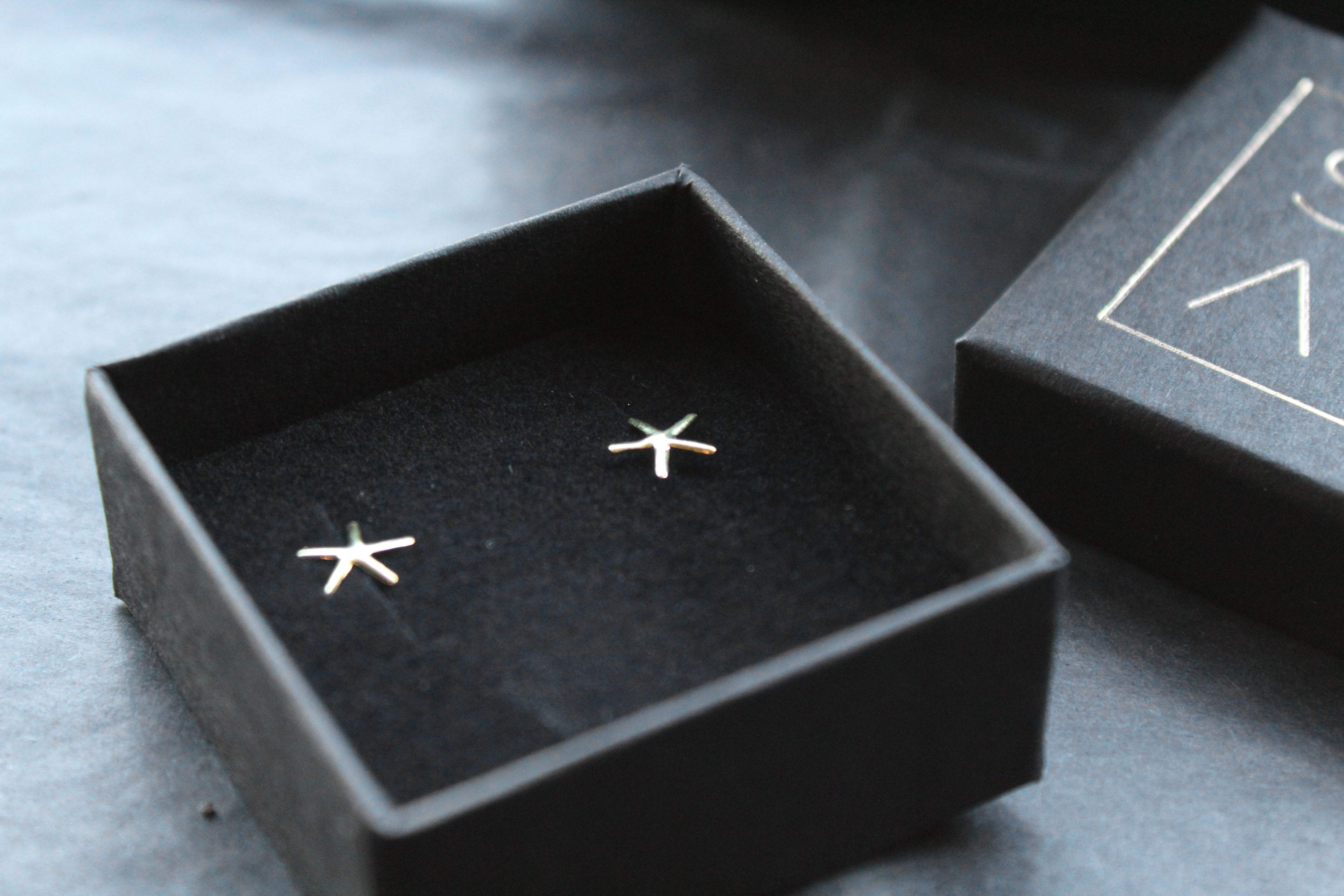 Mini Starfish Studs