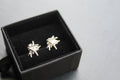 Cosmic Stud Earring