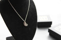 Silver & Clear CZ Feather Pendant with Chain