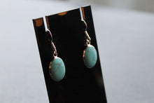 Load image into Gallery viewer, Silver &amp; Turquoise Oval Drop Earrings
