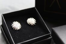 Load image into Gallery viewer, Sterling Silver Urchin Studs
