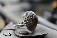 Load image into Gallery viewer, Silver Nautilus Ring

