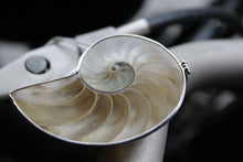 Load image into Gallery viewer, Large Nautilus Shell Pendant
