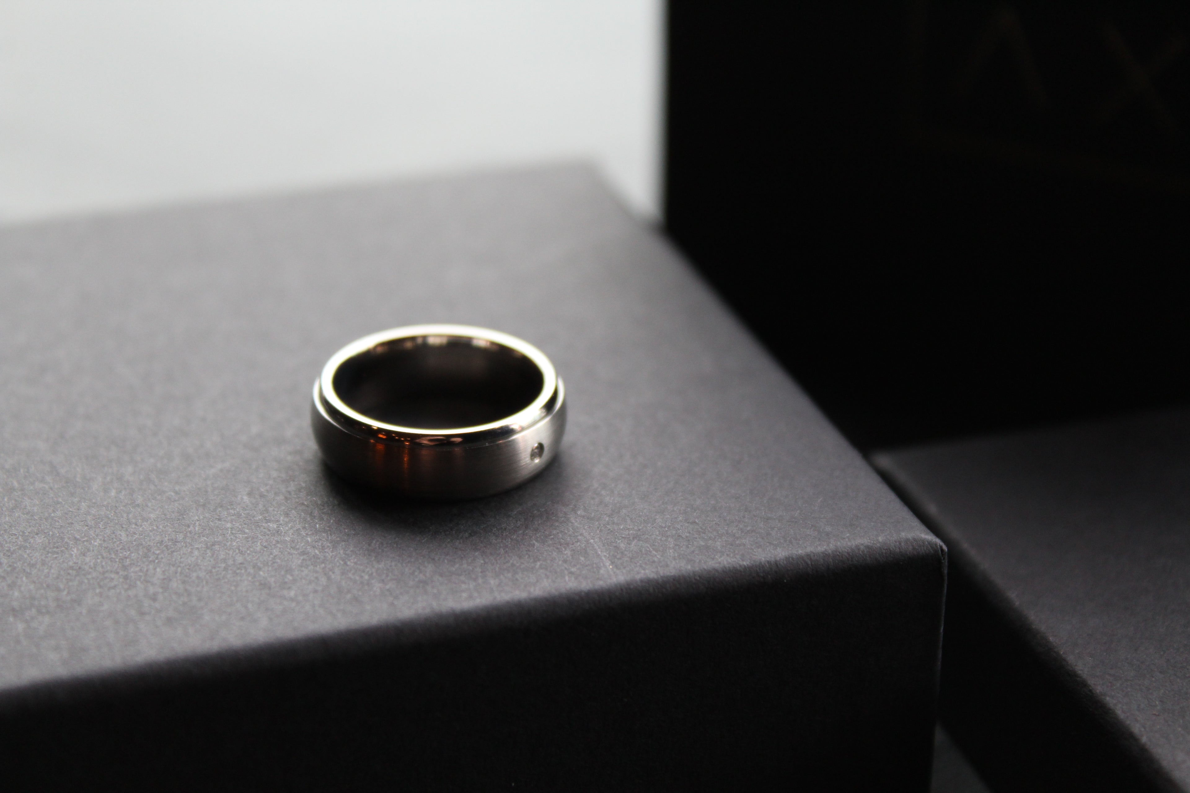 Titanium Ring with 0.02ct Diamond