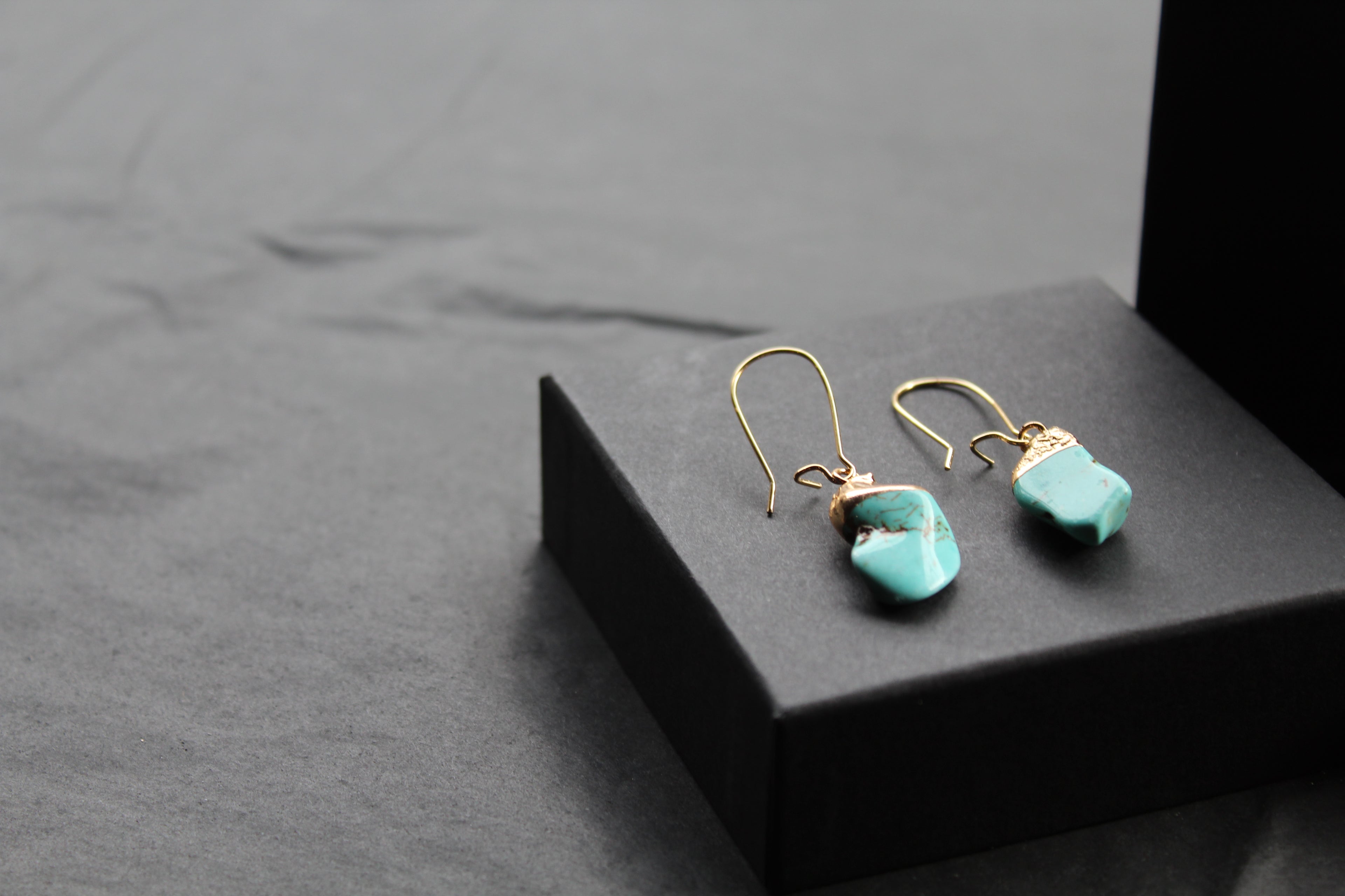 Turquoise Kidney Stone Dropper Earrings