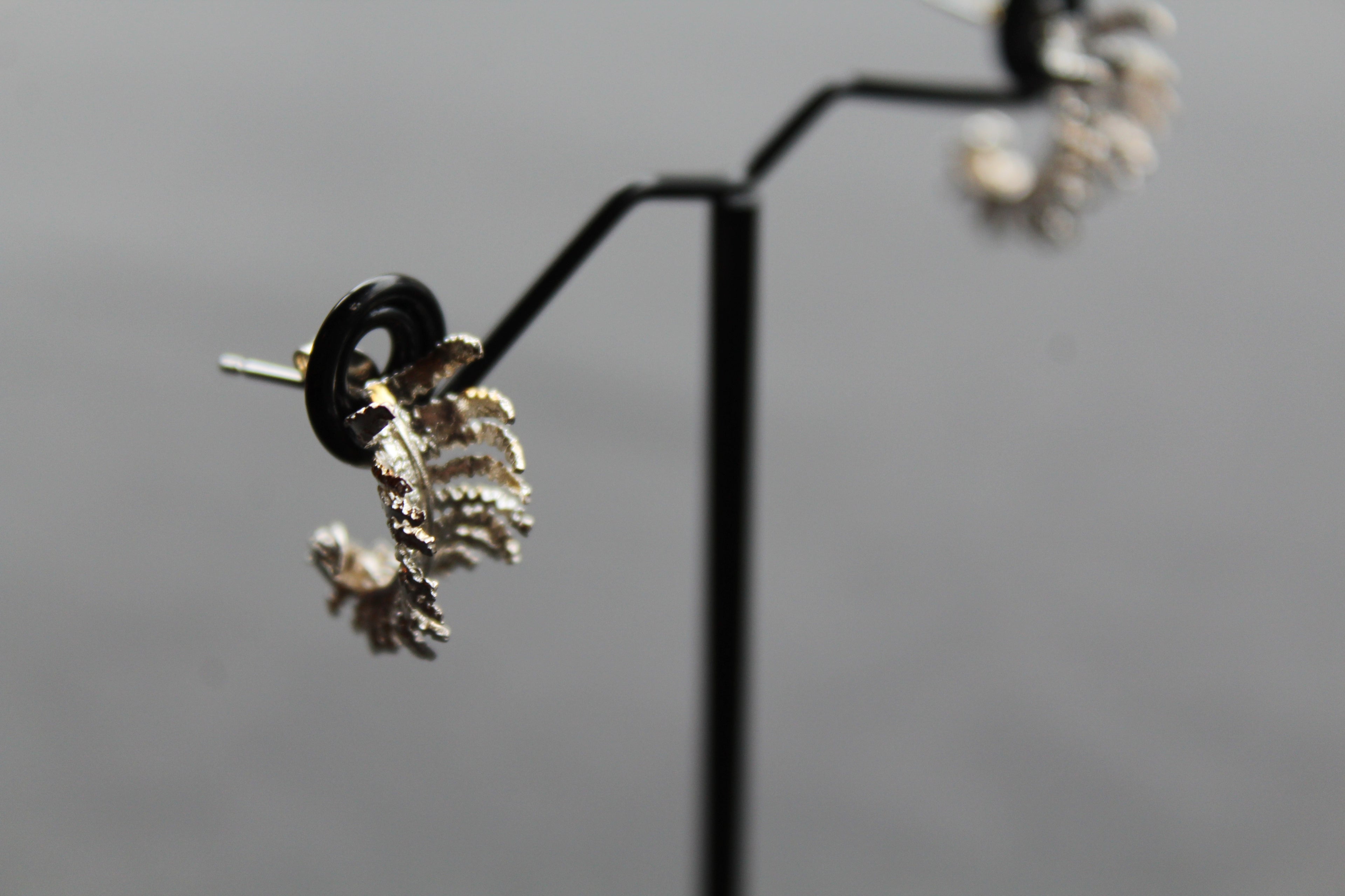 Unfurling Fern Earrings Sterling Silver