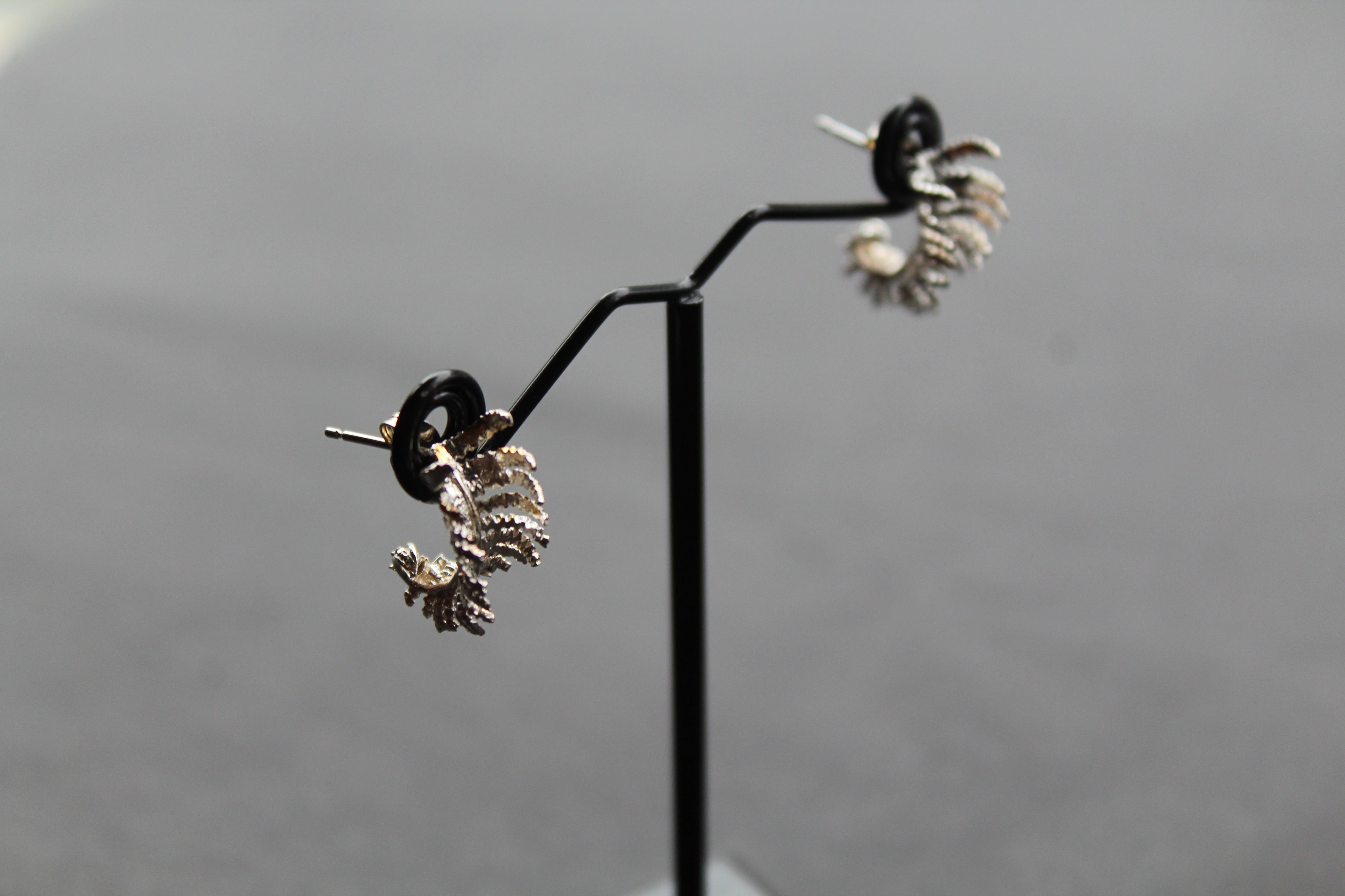 Unfurling Fern Earrings Sterling Silver