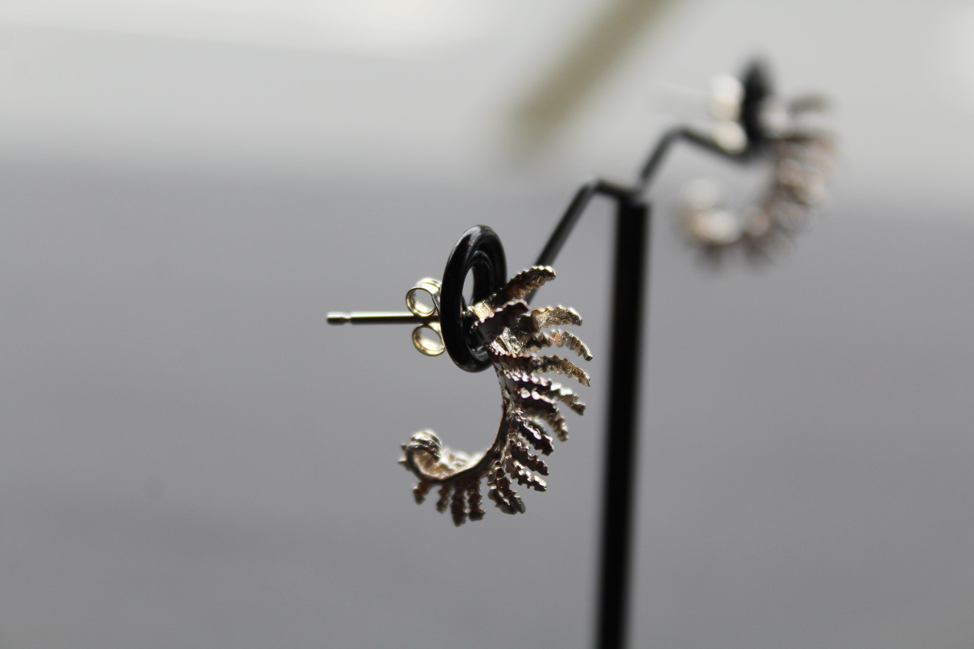 Unfurling Fern Earrings Sterling Silver