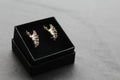 Unfurling Fern Earrings Sterling Silver