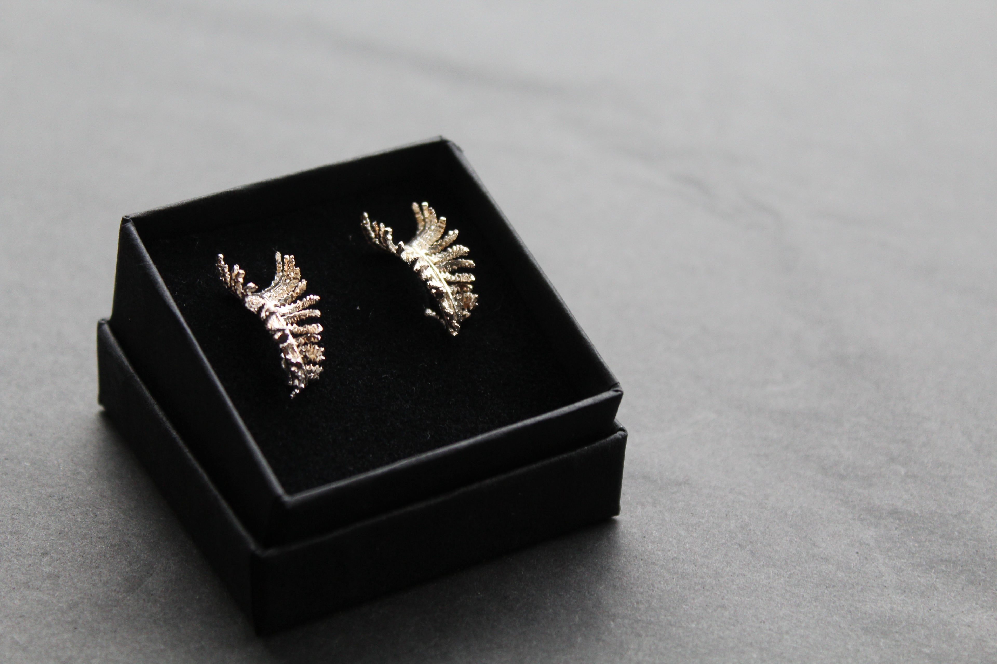 Unfurling Fern Earrings Sterling Silver