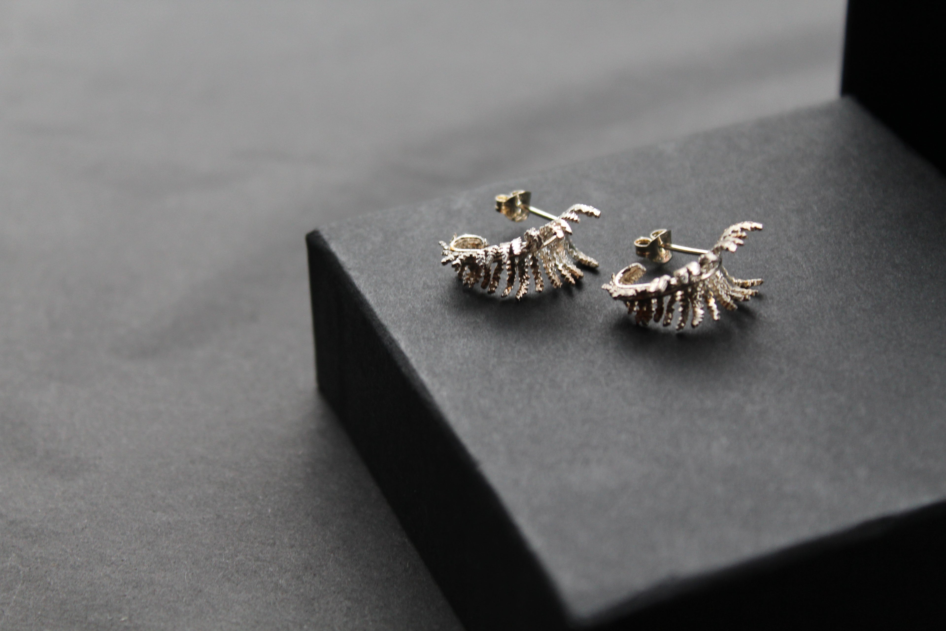 Unfurling Fern Earrings Sterling Silver