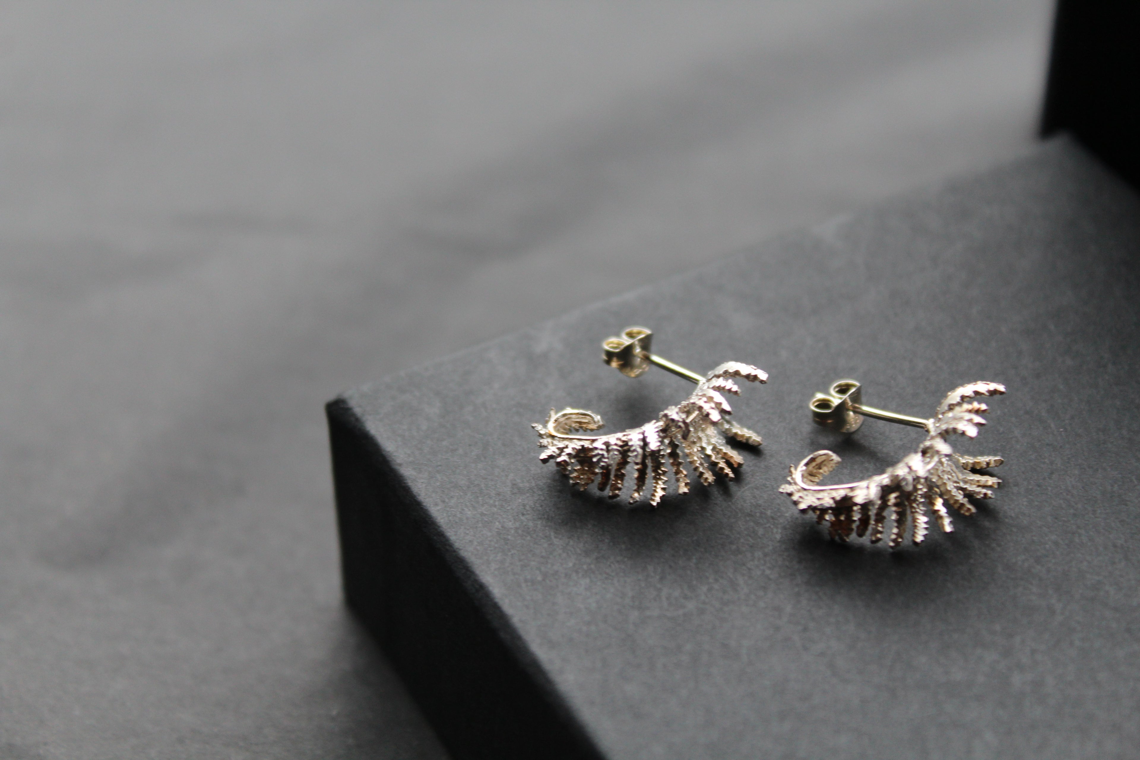 Unfurling Fern Earrings Sterling Silver